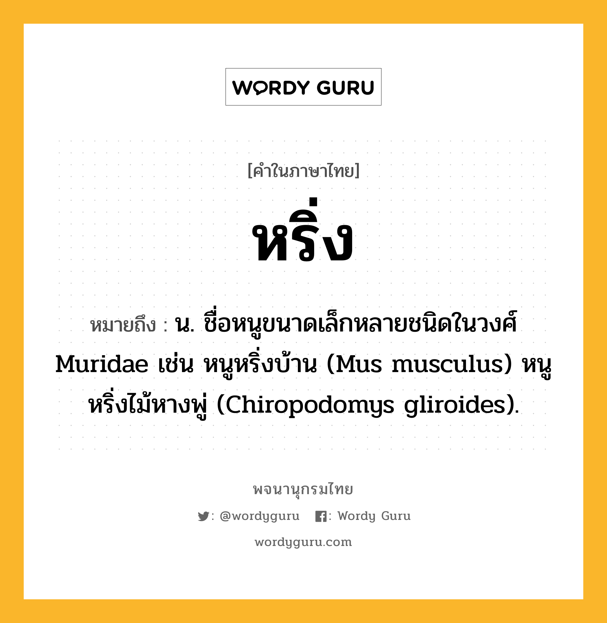 หริ่ง ความหมาย หมายถึงอะไร?, คำในภาษาไทย หริ่ง หมายถึง น. ชื่อหนูขนาดเล็กหลายชนิดในวงศ์ Muridae เช่น หนูหริ่งบ้าน (Mus musculus) หนูหริ่งไม้หางพู่ (Chiropodomys gliroides).