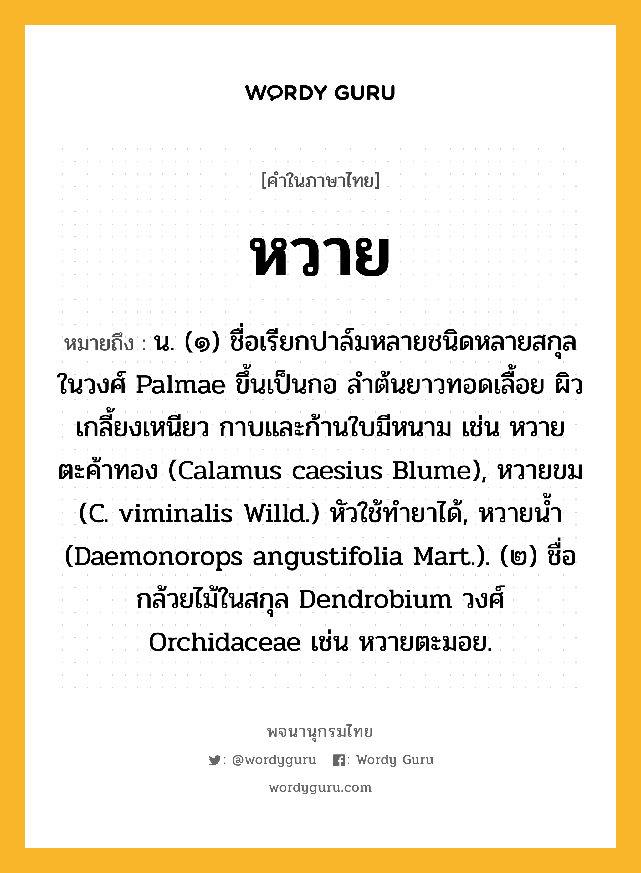 หวาย ความหมาย หมายถึงอะไร?, คำในภาษาไทย หวาย หมายถึง น. (๑) ชื่อเรียกปาล์มหลายชนิดหลายสกุลในวงศ์ Palmae ขึ้นเป็นกอ ลําต้นยาวทอดเลื้อย ผิวเกลี้ยงเหนียว กาบและก้านใบมีหนาม เช่น หวายตะค้าทอง (Calamus caesius Blume), หวายขม (C. viminalis Willd.) หัวใช้ทํายาได้, หวายนํ้า (Daemonorops angustifolia Mart.). (๒) ชื่อกล้วยไม้ในสกุล Dendrobium วงศ์ Orchidaceae เช่น หวายตะมอย.