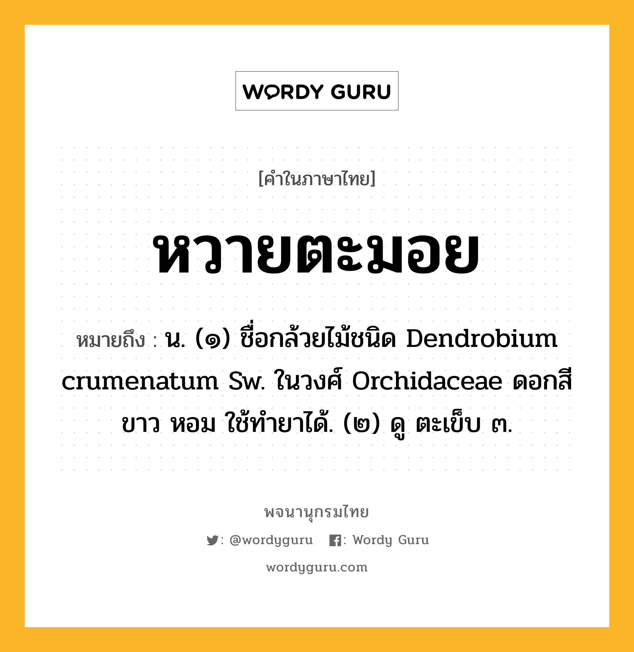 หวายตะมอย หมายถึงอะไร?, คำในภาษาไทย หวายตะมอย หมายถึง น. (๑) ชื่อกล้วยไม้ชนิด Dendrobium crumenatum Sw. ในวงศ์ Orchidaceae ดอกสีขาว หอม ใช้ทํายาได้. (๒) ดู ตะเข็บ ๓.