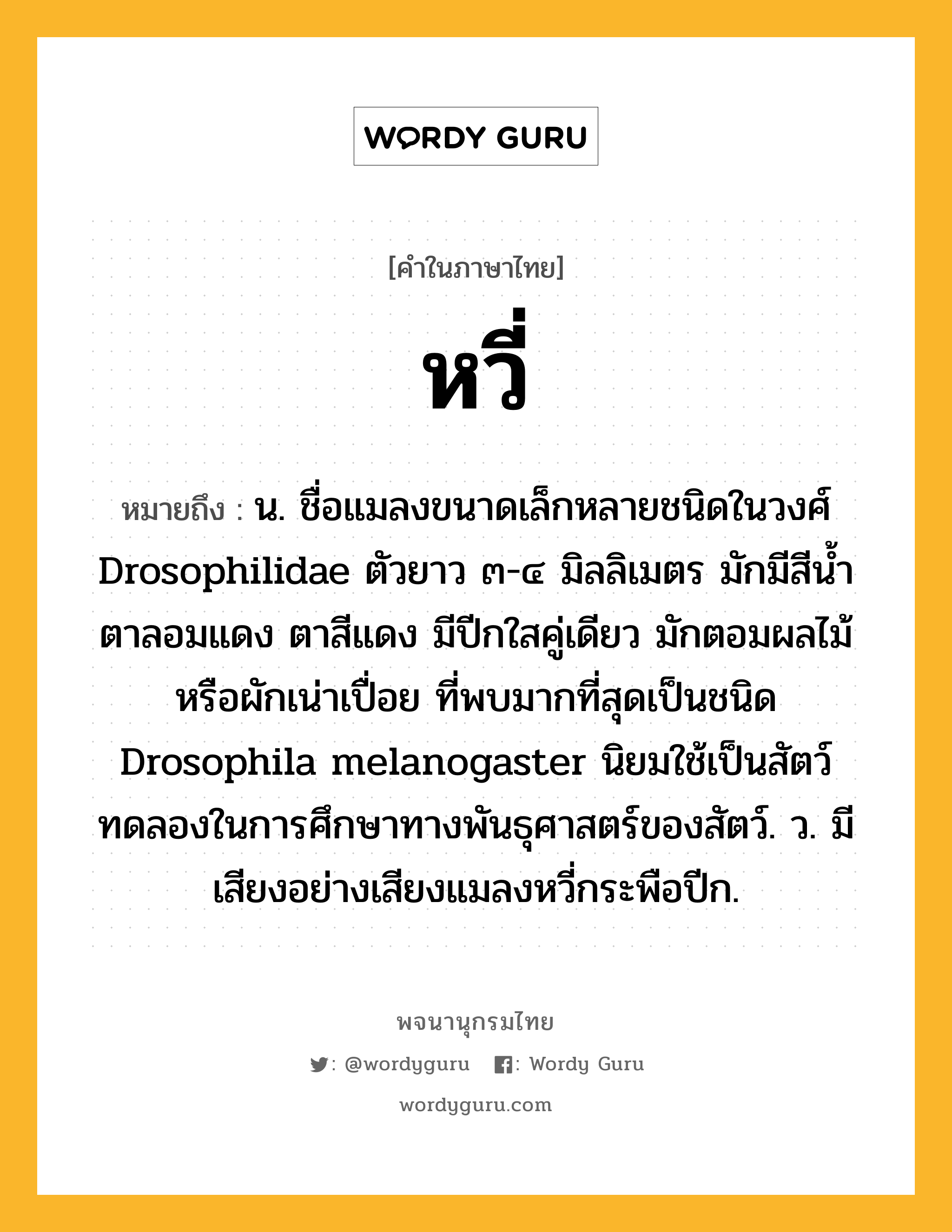 หวี่ หมายถึงอะไร?, คำในภาษาไทย หวี่ หมายถึง น. ชื่อแมลงขนาดเล็กหลายชนิดในวงศ์ Drosophilidae ตัวยาว ๓-๔ มิลลิเมตร มักมีสีนํ้าตาลอมแดง ตาสีแดง มีปีกใสคู่เดียว มักตอมผลไม้หรือผักเน่าเปื่อย ที่พบมากที่สุดเป็นชนิด Drosophila melanogaster นิยมใช้เป็นสัตว์ทดลองในการศึกษาทางพันธุศาสตร์ของสัตว์. ว. มีเสียงอย่างเสียงแมลงหวี่กระพือปีก.