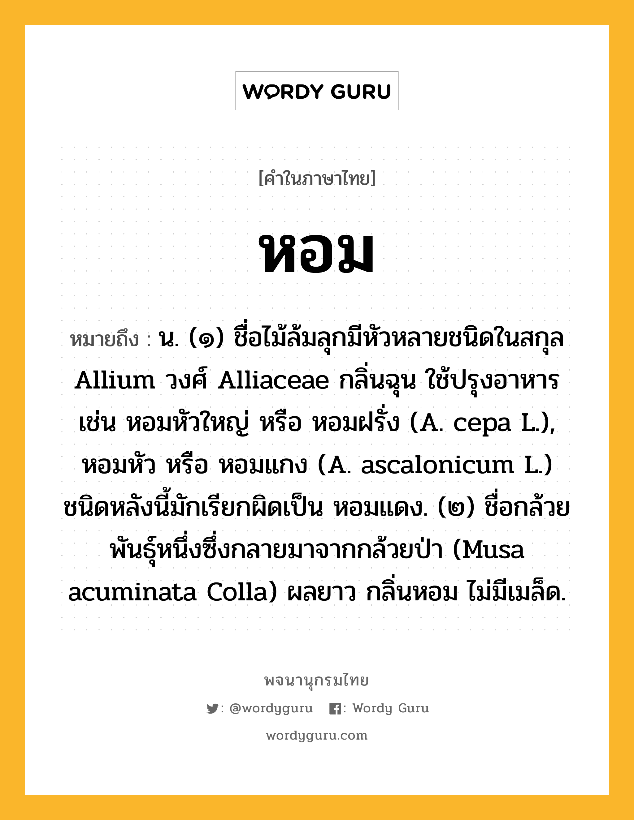 หอม หมายถึงอะไร?, คำในภาษาไทย หอม หมายถึง น. (๑) ชื่อไม้ล้มลุกมีหัวหลายชนิดในสกุล Allium วงศ์ Alliaceae กลิ่นฉุน ใช้ปรุงอาหาร เช่น หอมหัวใหญ่ หรือ หอมฝรั่ง (A. cepa L.), หอมหัว หรือ หอมแกง (A. ascalonicum L.) ชนิดหลังนี้มักเรียกผิดเป็น หอมแดง. (๒) ชื่อกล้วยพันธุ์หนึ่งซึ่งกลายมาจากกล้วยป่า (Musa acuminata Colla) ผลยาว กลิ่นหอม ไม่มีเมล็ด.