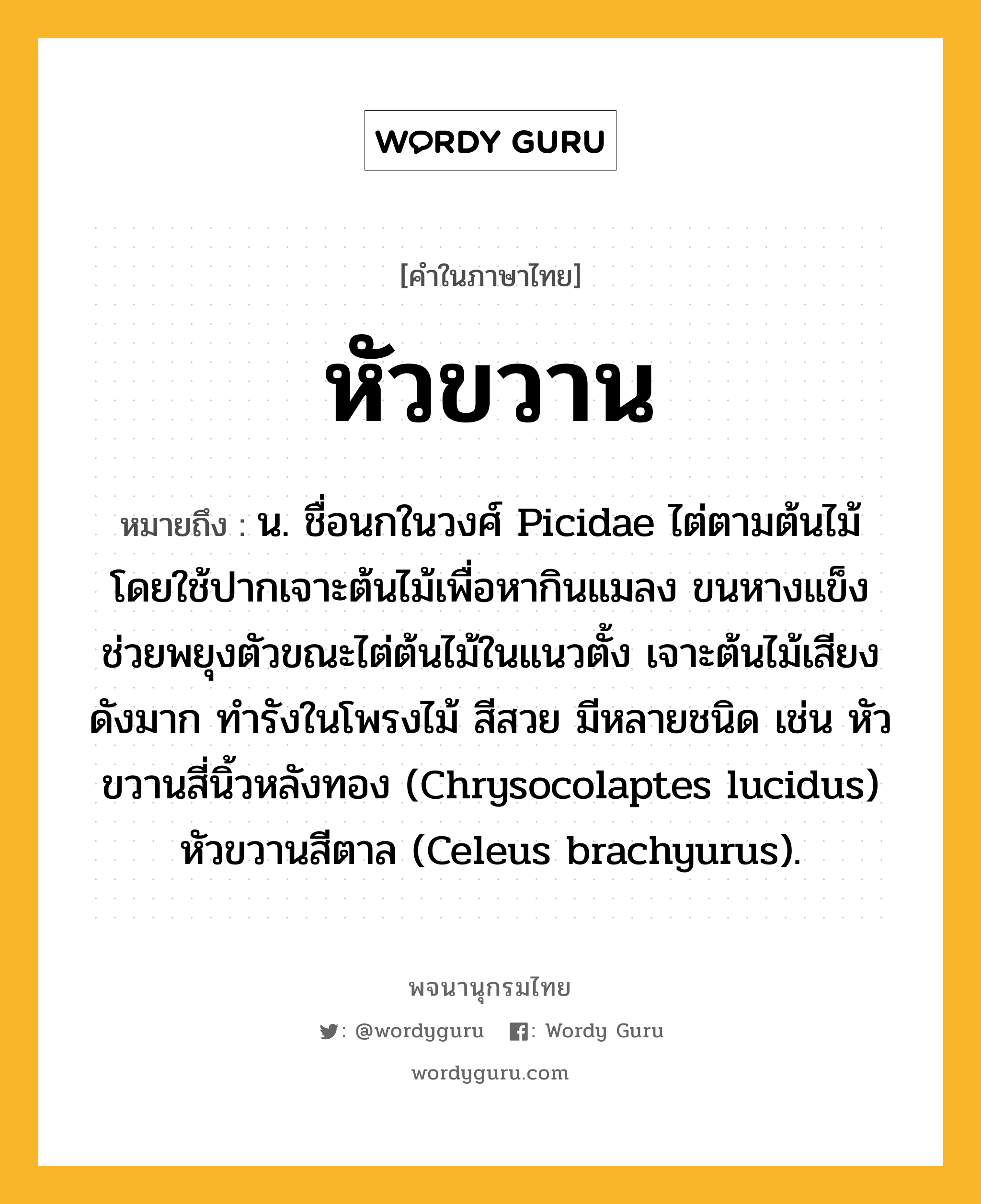 หัวขวาน ความหมาย หมายถึงอะไร?, คำในภาษาไทย หัวขวาน หมายถึง น. ชื่อนกในวงศ์ Picidae ไต่ตามต้นไม้ โดยใช้ปากเจาะต้นไม้เพื่อหากินแมลง ขนหางแข็งช่วยพยุงตัวขณะไต่ต้นไม้ในแนวตั้ง เจาะต้นไม้เสียงดังมาก ทํารังในโพรงไม้ สีสวย มีหลายชนิด เช่น หัวขวานสี่นิ้วหลังทอง (Chrysocolaptes lucidus) หัวขวานสีตาล (Celeus brachyurus).