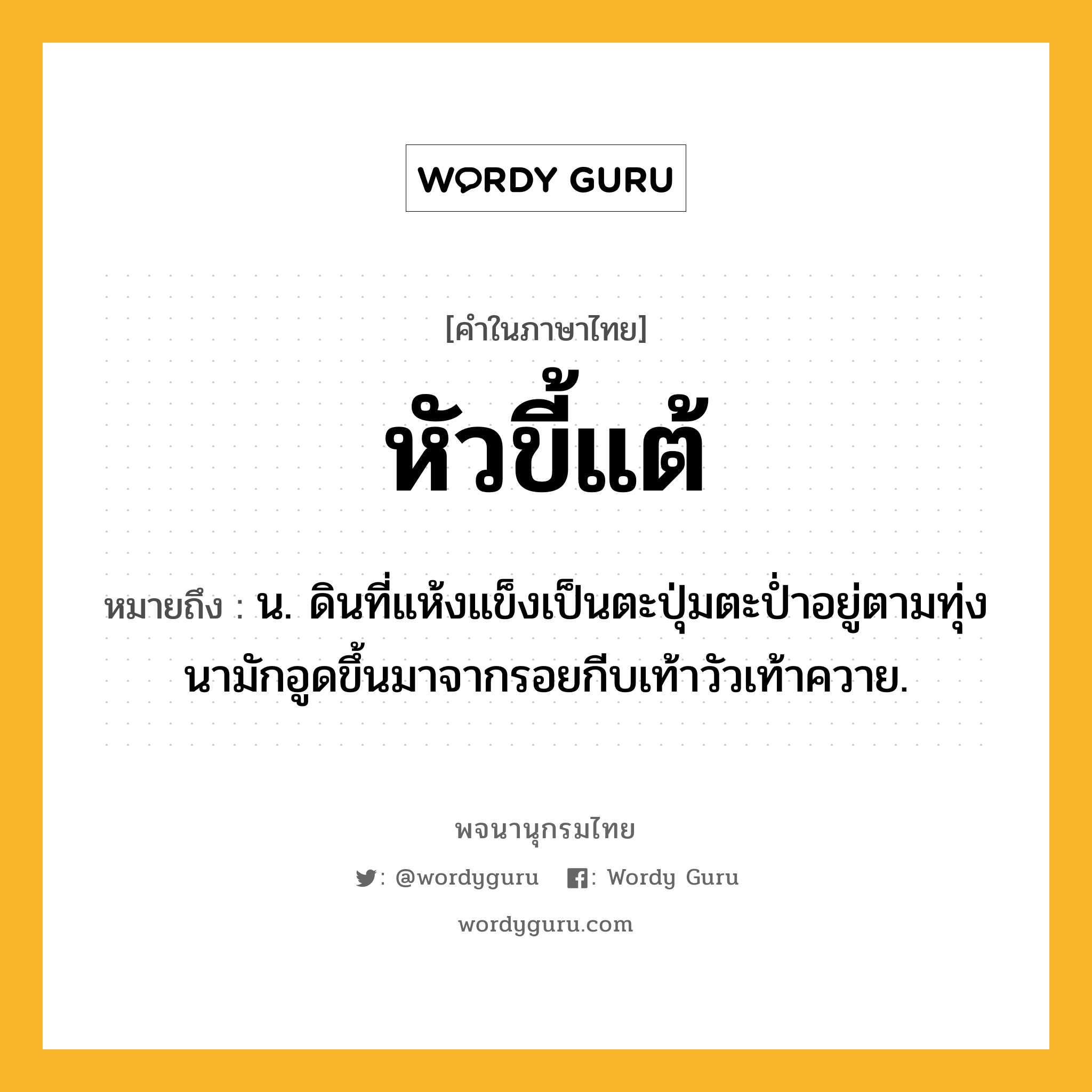 หัวขี้แต้ ความหมาย หมายถึงอะไร?, คำในภาษาไทย หัวขี้แต้ หมายถึง น. ดินที่แห้งแข็งเป็นตะปุ่มตะปํ่าอยู่ตามทุ่งนามักอูดขึ้นมาจากรอยกีบเท้าวัวเท้าควาย.