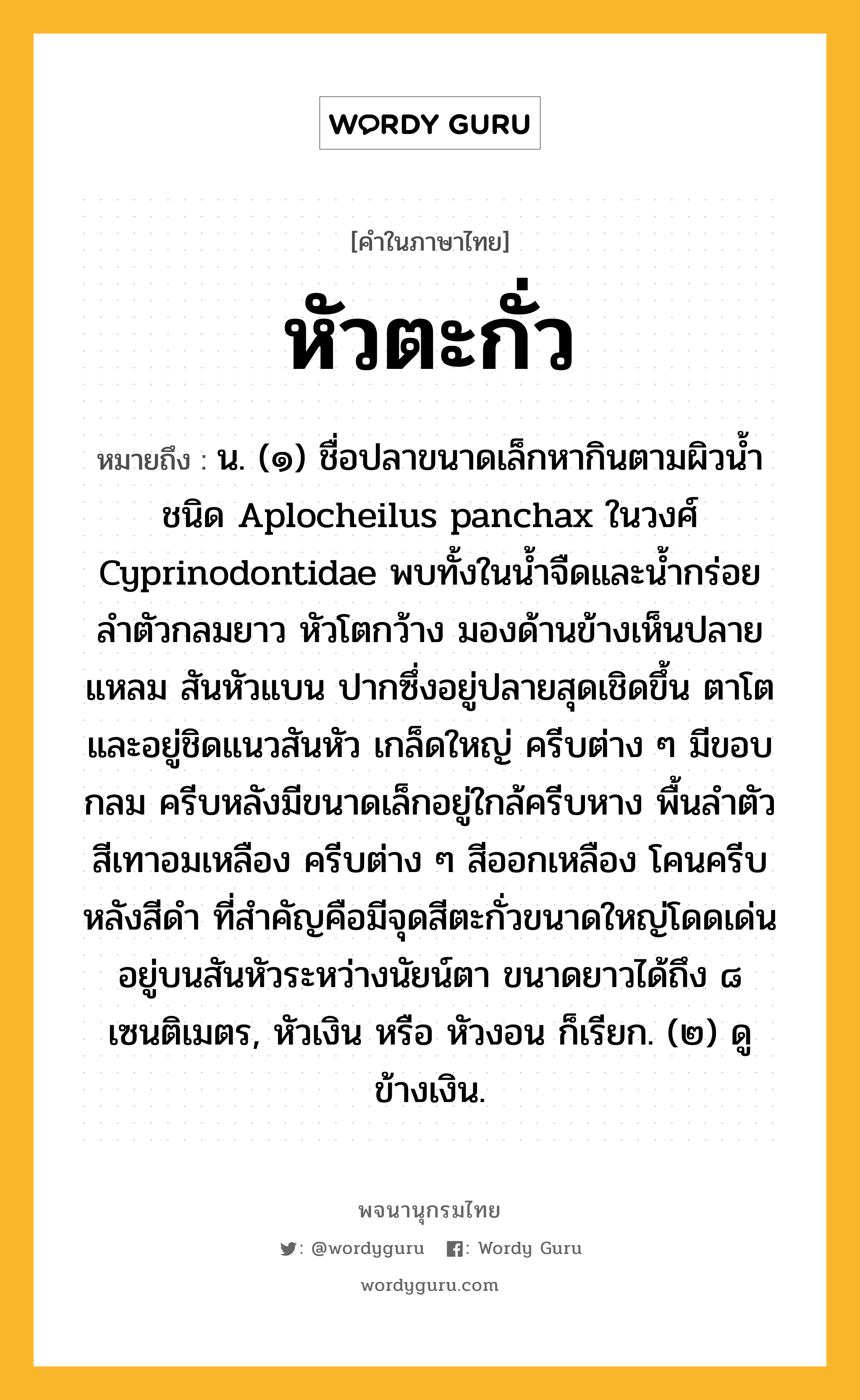 หัวตะกั่ว หมายถึงอะไร?, คำในภาษาไทย หัวตะกั่ว หมายถึง น. (๑) ชื่อปลาขนาดเล็กหากินตามผิวนํ้าชนิด Aplocheilus panchax ในวงศ์ Cyprinodontidae พบทั้งในนํ้าจืดและนํ้ากร่อย ลําตัวกลมยาว หัวโตกว้าง มองด้านข้างเห็นปลายแหลม สันหัวแบน ปากซึ่งอยู่ปลายสุดเชิดขึ้น ตาโตและอยู่ชิดแนวสันหัว เกล็ดใหญ่ ครีบต่าง ๆ มีขอบกลม ครีบหลังมีขนาดเล็กอยู่ใกล้ครีบหาง พื้นลําตัวสีเทาอมเหลือง ครีบต่าง ๆ สีออกเหลือง โคนครีบหลังสีดํา ที่สําคัญคือมีจุดสีตะกั่วขนาดใหญ่โดดเด่นอยู่บนสันหัวระหว่างนัยน์ตา ขนาดยาวได้ถึง ๘ เซนติเมตร, หัวเงิน หรือ หัวงอน ก็เรียก. (๒) ดู ข้างเงิน.