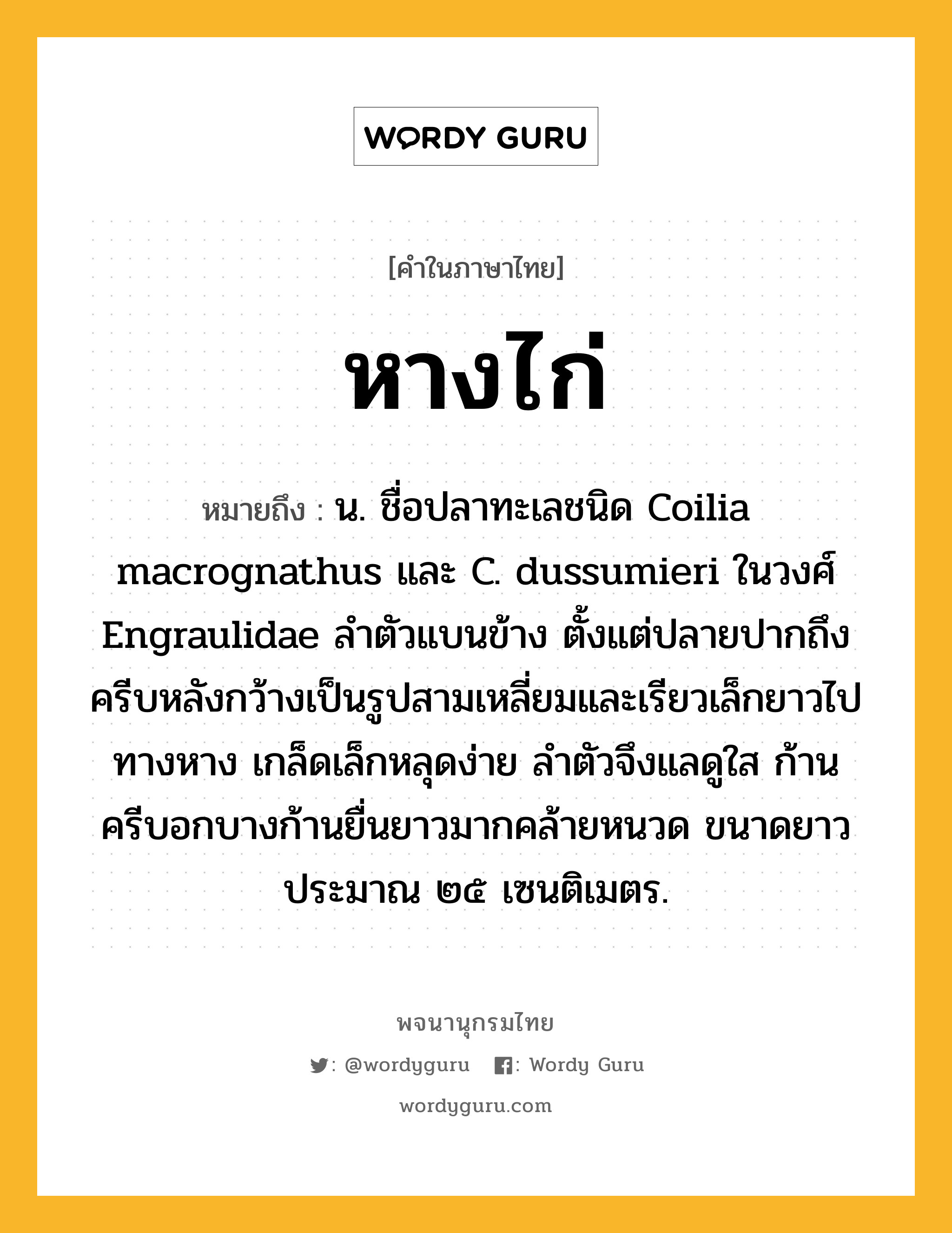 หางไก่ ความหมาย หมายถึงอะไร?, คำในภาษาไทย หางไก่ หมายถึง น. ชื่อปลาทะเลชนิด Coilia macrognathus และ C. dussumieri ในวงศ์ Engraulidae ลําตัวแบนข้าง ตั้งแต่ปลายปากถึงครีบหลังกว้างเป็นรูปสามเหลี่ยมและเรียวเล็กยาวไปทางหาง เกล็ดเล็กหลุดง่าย ลําตัวจึงแลดูใส ก้านครีบอกบางก้านยื่นยาวมากคล้ายหนวด ขนาดยาวประมาณ ๒๕ เซนติเมตร.