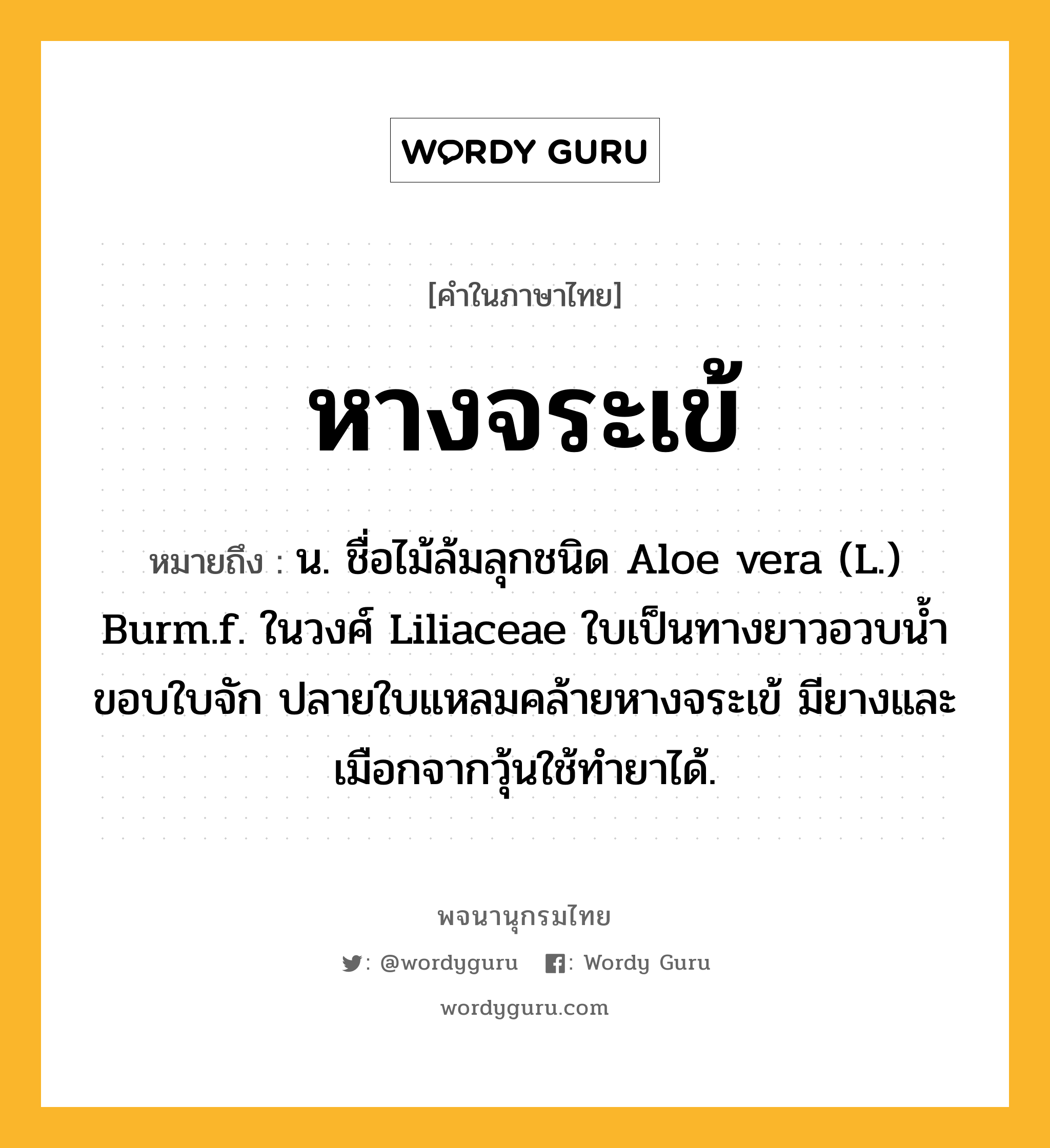 หางจระเข้ หมายถึงอะไร?, คำในภาษาไทย หางจระเข้ หมายถึง น. ชื่อไม้ล้มลุกชนิด Aloe vera (L.) Burm.f. ในวงศ์ Liliaceae ใบเป็นทางยาวอวบนํ้า ขอบใบจัก ปลายใบแหลมคล้ายหางจระเข้ มียางและเมือกจากวุ้นใช้ทํายาได้.