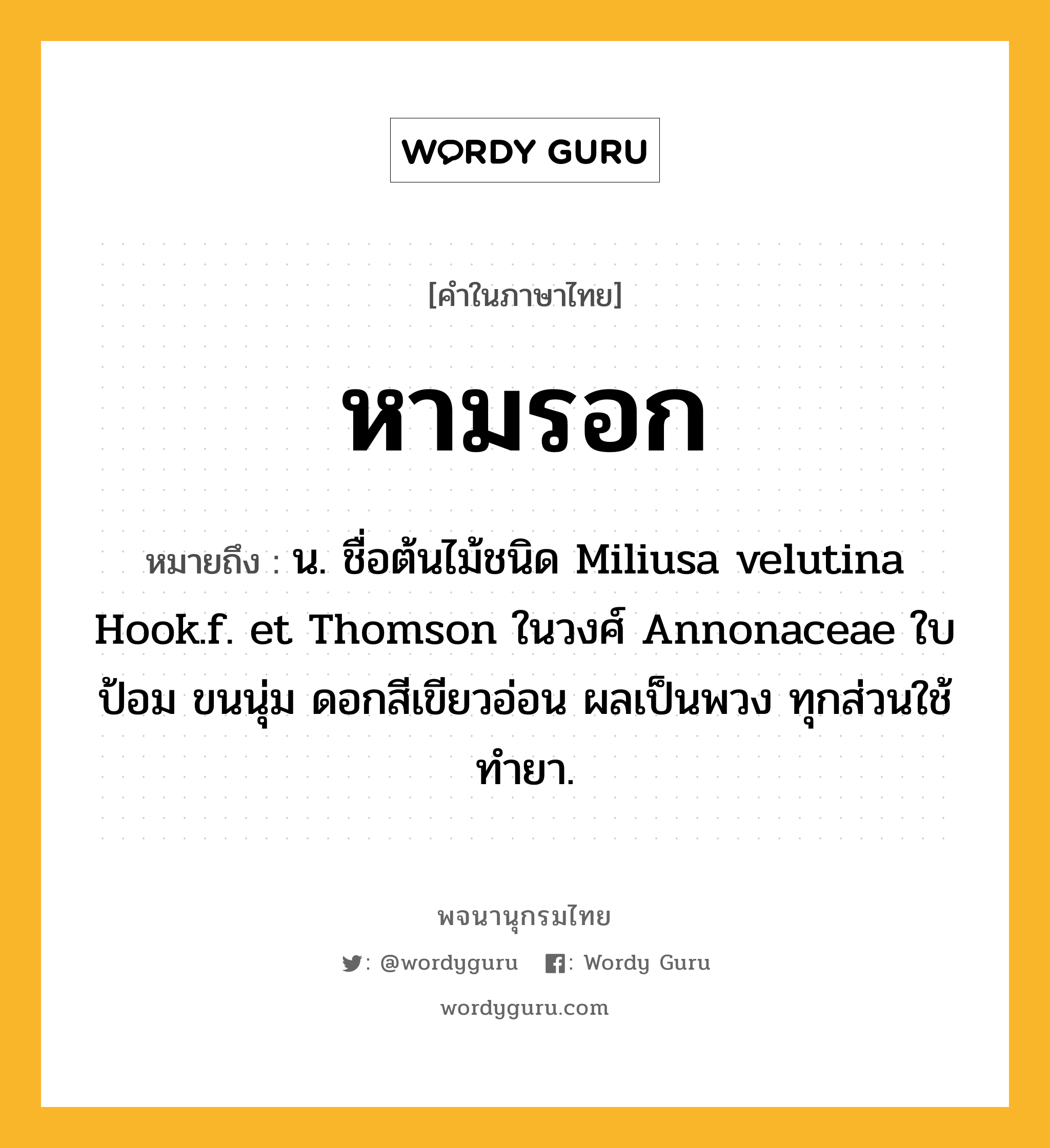 หามรอก หมายถึงอะไร?, คำในภาษาไทย หามรอก หมายถึง น. ชื่อต้นไม้ชนิด Miliusa velutina Hook.f. et Thomson ในวงศ์ Annonaceae ใบป้อม ขนนุ่ม ดอกสีเขียวอ่อน ผลเป็นพวง ทุกส่วนใช้ทำยา.