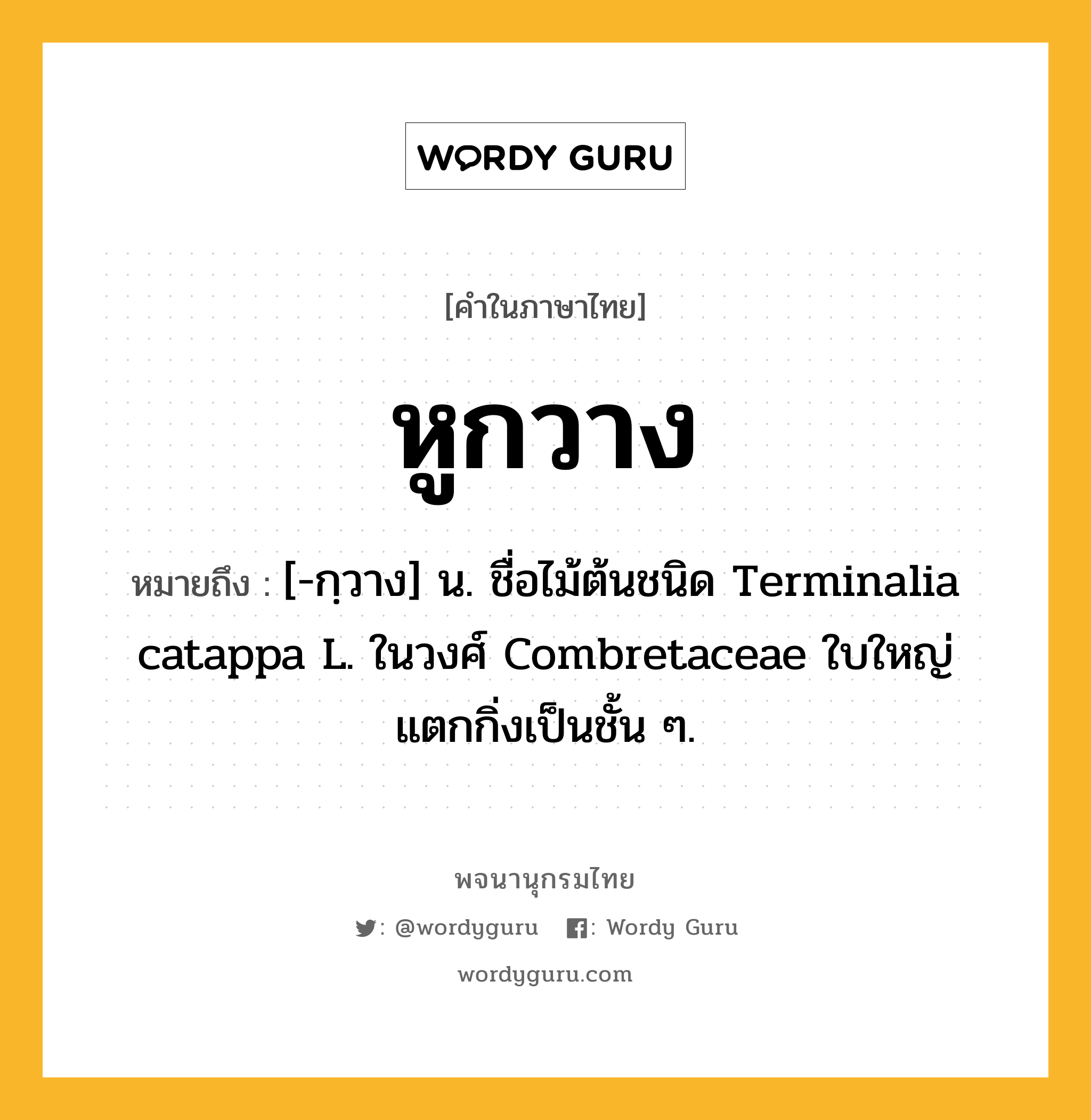 หูกวาง หมายถึงอะไร?, คำในภาษาไทย หูกวาง หมายถึง [-กฺวาง] น. ชื่อไม้ต้นชนิด Terminalia catappa L. ในวงศ์ Combretaceae ใบใหญ่ แตกกิ่งเป็นชั้น ๆ.