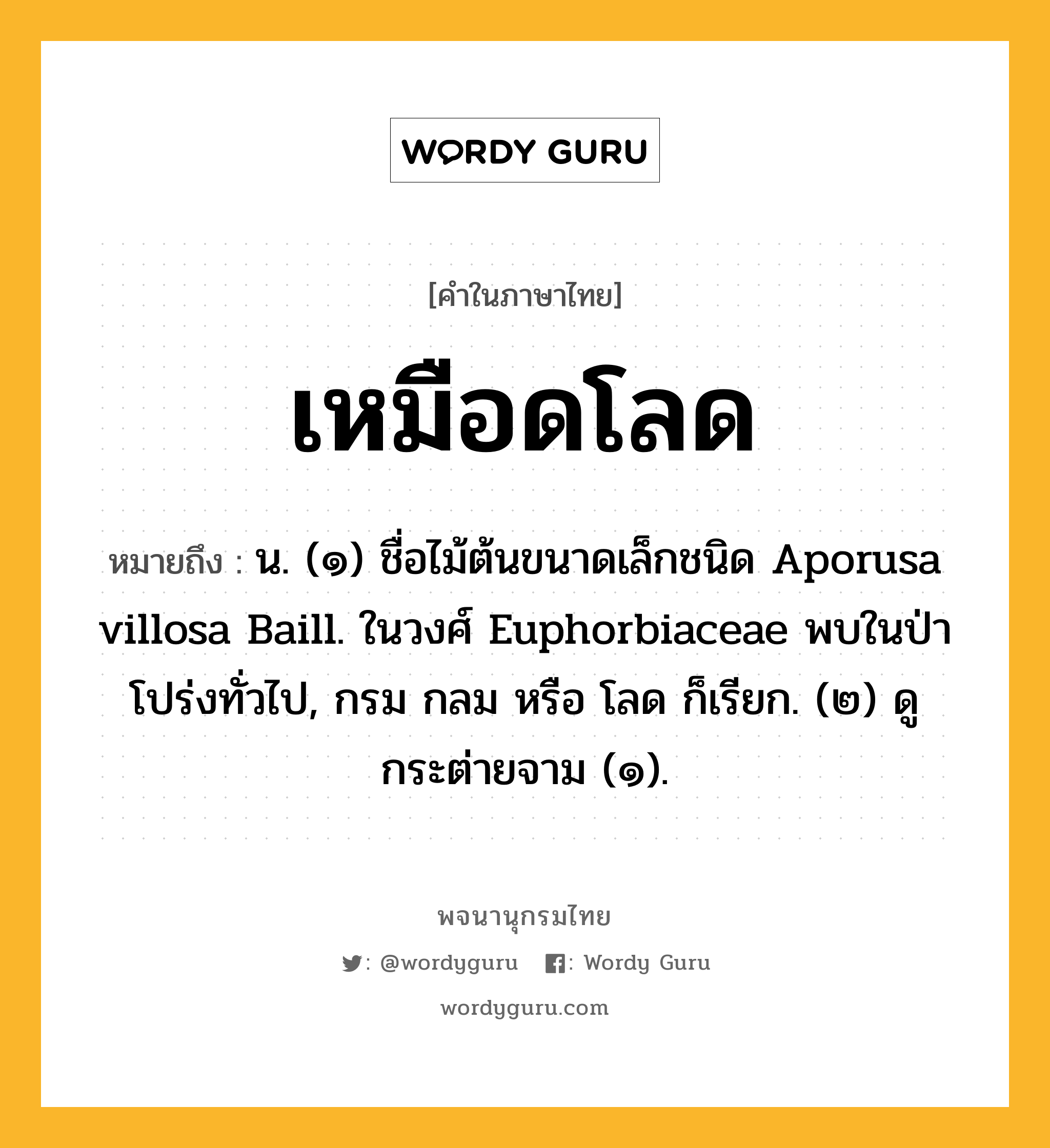 เหมือดโลด หมายถึงอะไร?, คำในภาษาไทย เหมือดโลด หมายถึง น. (๑) ชื่อไม้ต้นขนาดเล็กชนิด Aporusa villosa Baill. ในวงศ์ Euphorbiaceae พบในป่าโปร่งทั่วไป, กรม กลม หรือ โลด ก็เรียก. (๒) ดู กระต่ายจาม (๑).