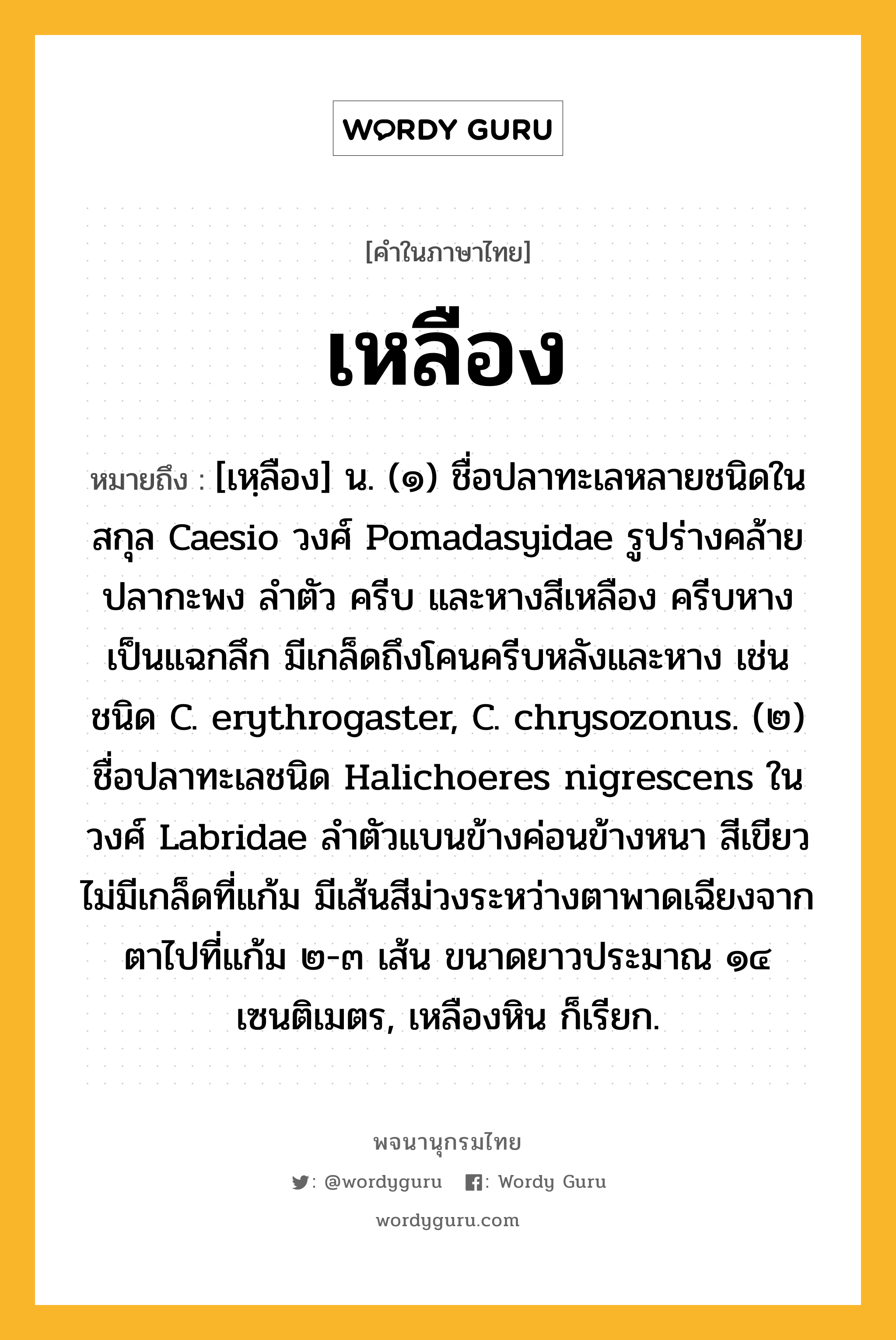 เหลือง หมายถึงอะไร?, คำในภาษาไทย เหลือง หมายถึง [เหฺลือง] น. (๑) ชื่อปลาทะเลหลายชนิดในสกุล Caesio วงศ์ Pomadasyidae รูปร่างคล้ายปลากะพง ลําตัว ครีบ และหางสีเหลือง ครีบหางเป็นแฉกลึก มีเกล็ดถึงโคนครีบหลังและหาง เช่น ชนิด C. erythrogaster, C. chrysozonus. (๒) ชื่อปลาทะเลชนิด Halichoeres nigrescens ในวงศ์ Labridae ลําตัวแบนข้างค่อนข้างหนา สีเขียว ไม่มีเกล็ดที่แก้ม มีเส้นสีม่วงระหว่างตาพาดเฉียงจากตาไปที่แก้ม ๒-๓ เส้น ขนาดยาวประมาณ ๑๔ เซนติเมตร, เหลืองหิน ก็เรียก.