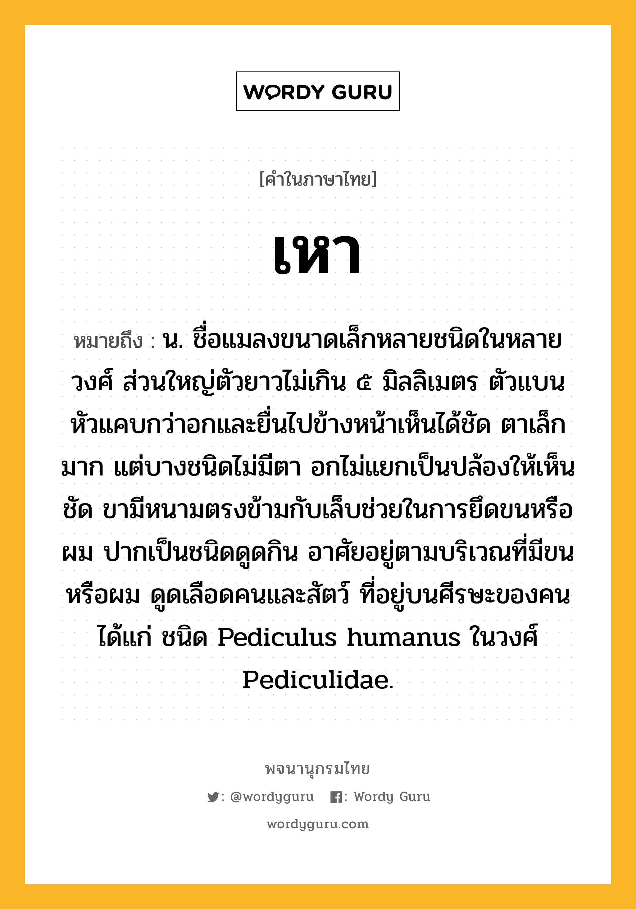 เหา หมายถึงอะไร?, คำในภาษาไทย เหา หมายถึง น. ชื่อแมลงขนาดเล็กหลายชนิดในหลายวงศ์ ส่วนใหญ่ตัวยาวไม่เกิน ๕ มิลลิเมตร ตัวแบน หัวแคบกว่าอกและยื่นไปข้างหน้าเห็นได้ชัด ตาเล็กมาก แต่บางชนิดไม่มีตา อกไม่แยกเป็นปล้องให้เห็นชัด ขามีหนามตรงข้ามกับเล็บช่วยในการยึดขนหรือผม ปากเป็นชนิดดูดกิน อาศัยอยู่ตามบริเวณที่มีขนหรือผม ดูดเลือดคนและสัตว์ ที่อยู่บนศีรษะของคนได้แก่ ชนิด Pediculus humanus ในวงศ์ Pediculidae.