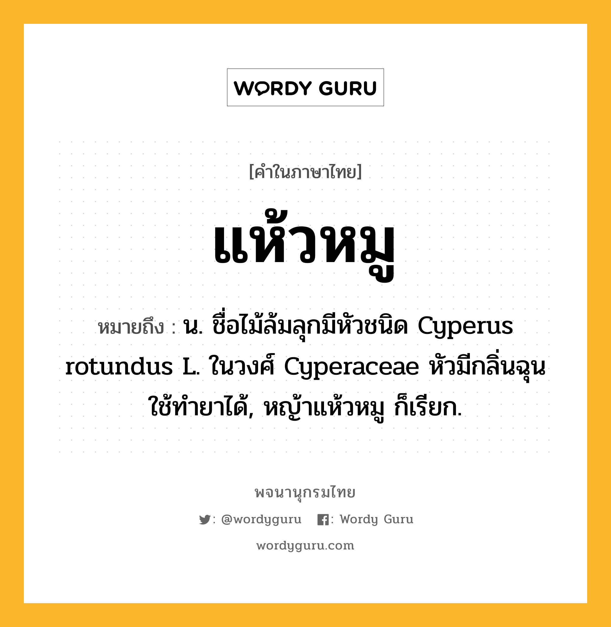 แห้วหมู ความหมาย หมายถึงอะไร?, คำในภาษาไทย แห้วหมู หมายถึง น. ชื่อไม้ล้มลุกมีหัวชนิด Cyperus rotundus L. ในวงศ์ Cyperaceae หัวมีกลิ่นฉุน ใช้ทํายาได้, หญ้าแห้วหมู ก็เรียก.