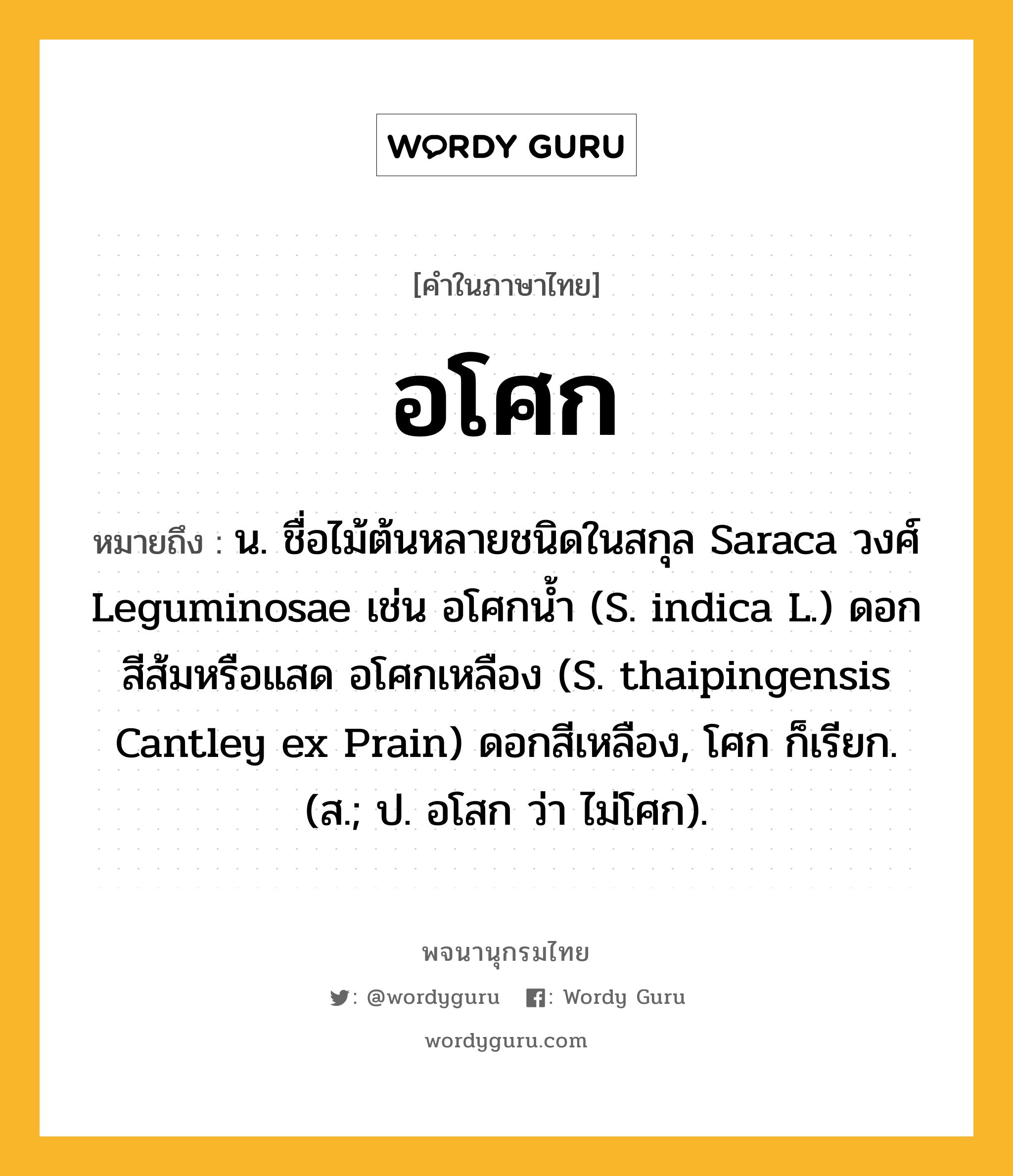 อโศก ความหมาย หมายถึงอะไร?, คำในภาษาไทย อโศก หมายถึง น. ชื่อไม้ต้นหลายชนิดในสกุล Saraca วงศ์ Leguminosae เช่น อโศกนํ้า (S. indica L.) ดอกสีส้มหรือแสด อโศกเหลือง (S. thaipingensis Cantley ex Prain) ดอกสีเหลือง, โศก ก็เรียก. (ส.; ป. อโสก ว่า ไม่โศก).