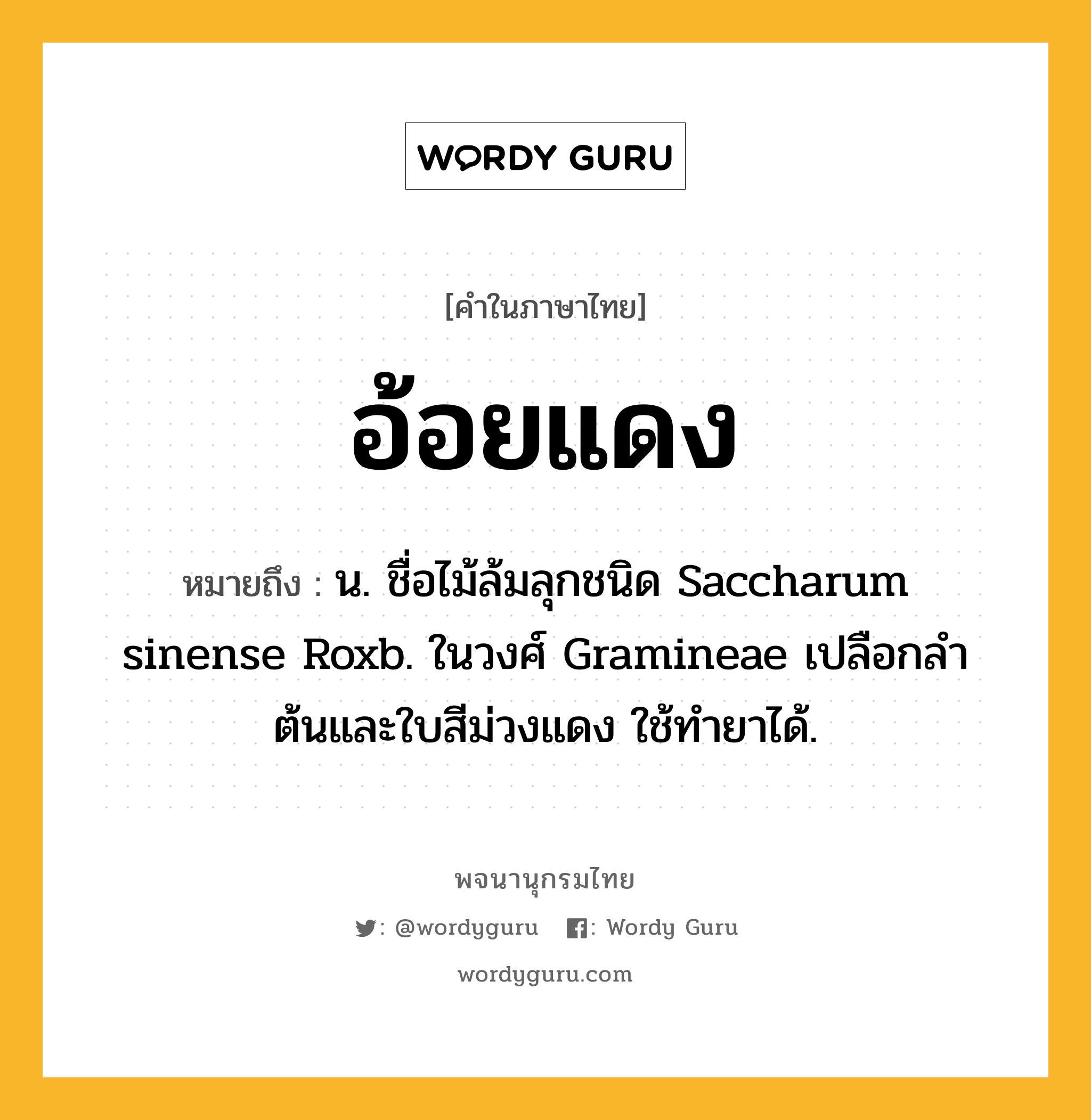 อ้อยแดง หมายถึงอะไร?, คำในภาษาไทย อ้อยแดง หมายถึง น. ชื่อไม้ล้มลุกชนิด Saccharum sinense Roxb. ในวงศ์ Gramineae เปลือกลําต้นและใบสีม่วงแดง ใช้ทํายาได้.