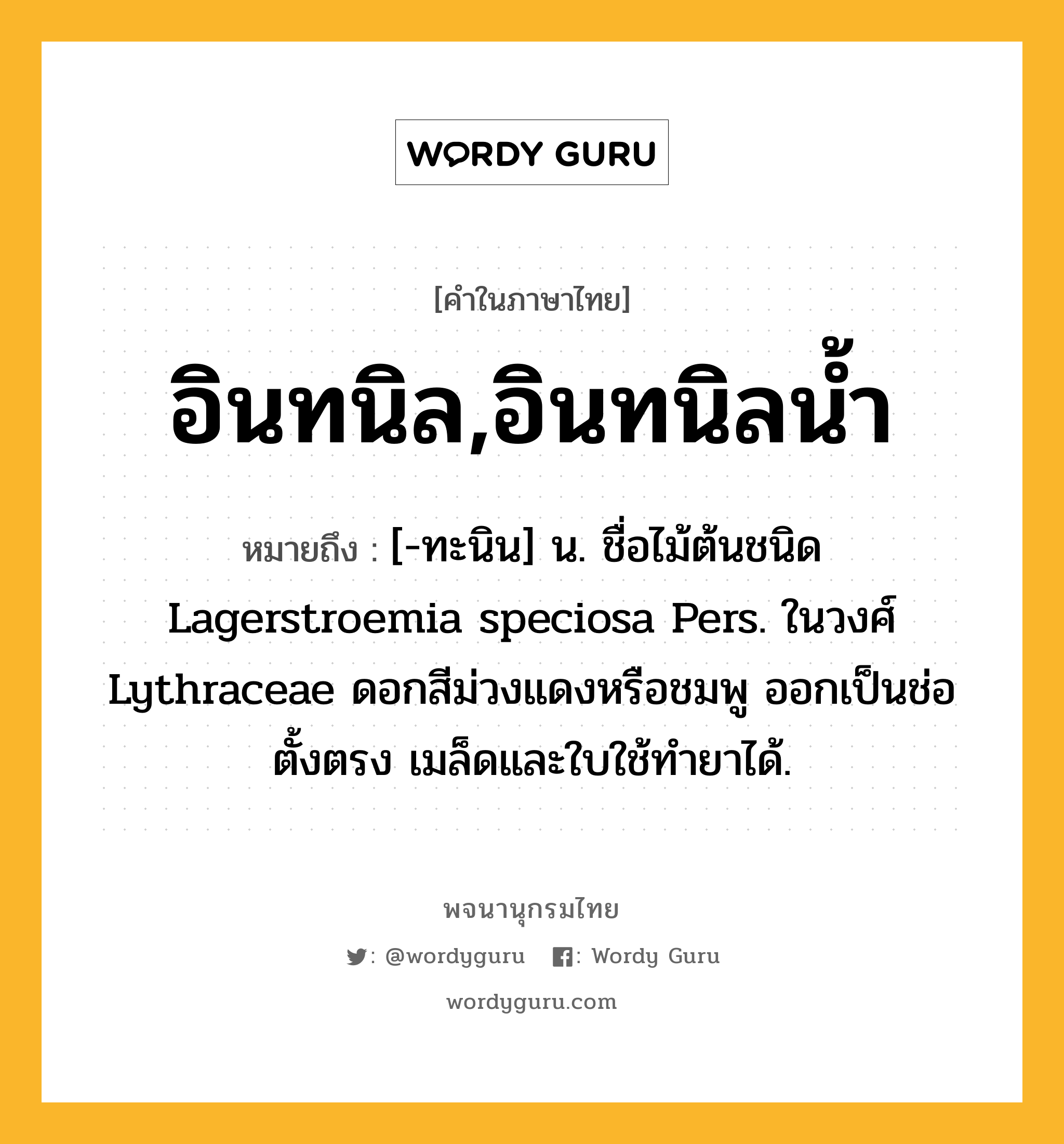 อินทนิล,อินทนิลน้ำ ความหมาย หมายถึงอะไร?, คำในภาษาไทย อินทนิล,อินทนิลน้ำ หมายถึง [-ทะนิน] น. ชื่อไม้ต้นชนิด Lagerstroemia speciosa Pers. ในวงศ์ Lythraceae ดอกสีม่วงแดงหรือชมพู ออกเป็นช่อตั้งตรง เมล็ดและใบใช้ทํายาได้.