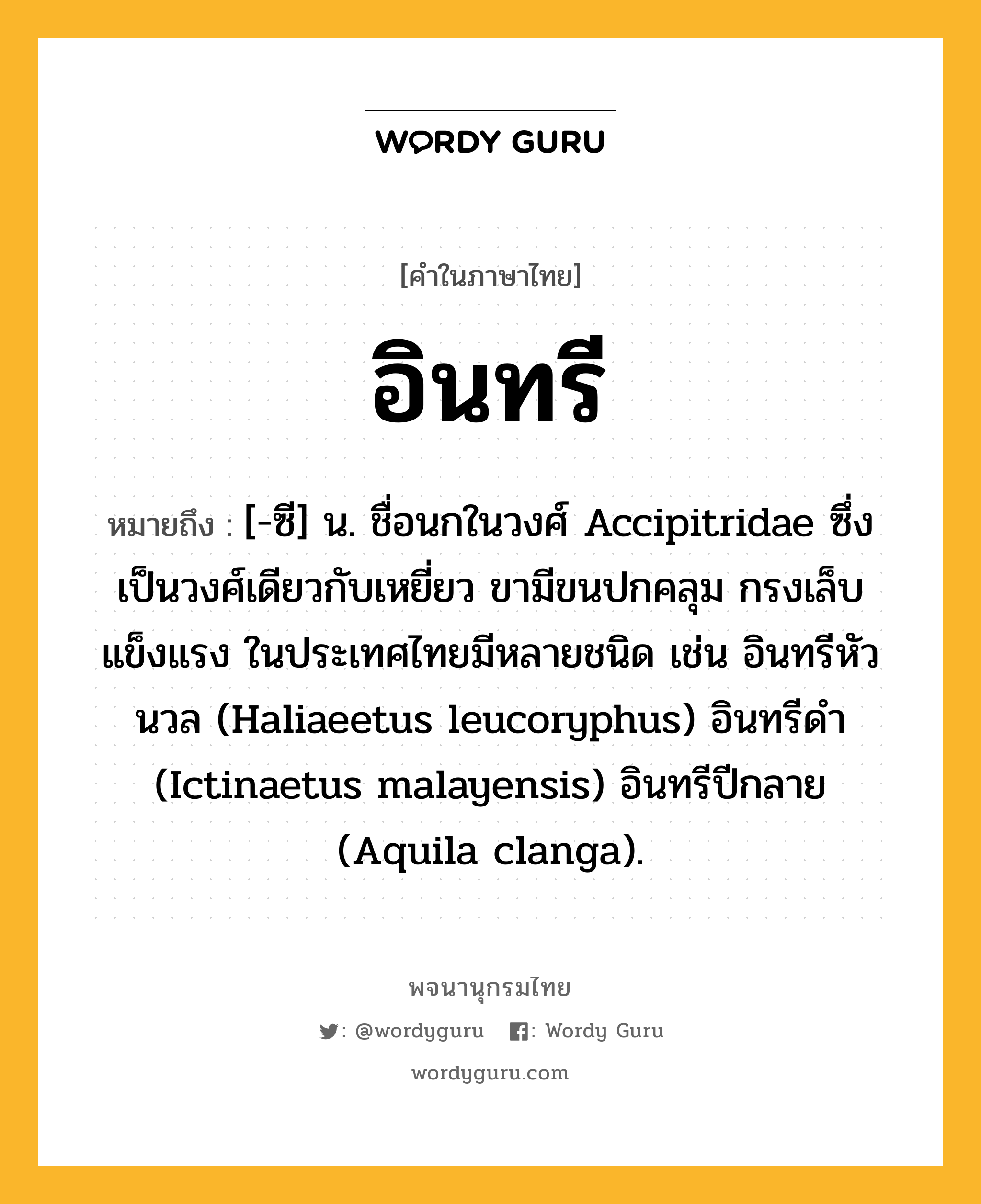 อินทรี หมายถึงอะไร?, คำในภาษาไทย อินทรี หมายถึง [-ซี] น. ชื่อนกในวงศ์ Accipitridae ซึ่งเป็นวงศ์เดียวกับเหยี่ยว ขามีขนปกคลุม กรงเล็บแข็งแรง ในประเทศไทยมีหลายชนิด เช่น อินทรีหัวนวล (Haliaeetus leucoryphus) อินทรีดํา (Ictinaetus malayensis) อินทรีปีกลาย (Aquila clanga).