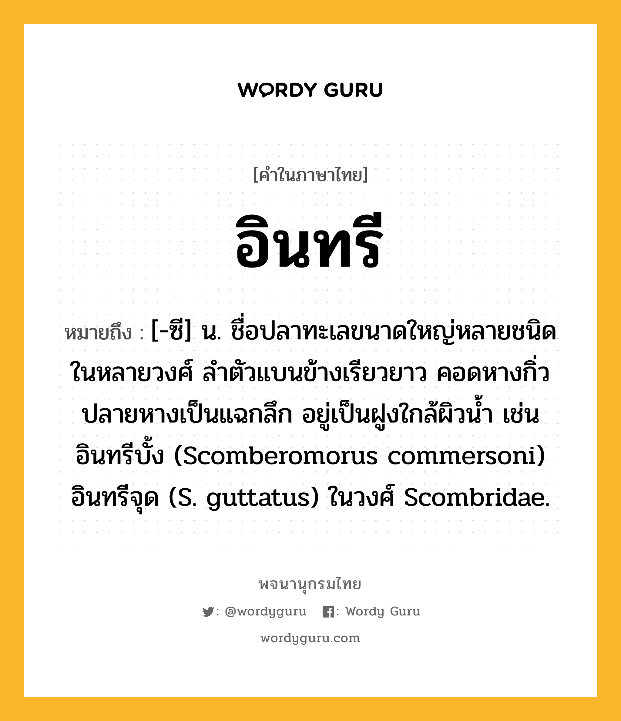 อินทรี หมายถึงอะไร?, คำในภาษาไทย อินทรี หมายถึง [-ซี] น. ชื่อปลาทะเลขนาดใหญ่หลายชนิดในหลายวงศ์ ลําตัวแบนข้างเรียวยาว คอดหางกิ่ว ปลายหางเป็นแฉกลึก อยู่เป็นฝูงใกล้ผิวนํ้า เช่น อินทรีบั้ง (Scomberomorus commersoni) อินทรีจุด (S. guttatus) ในวงศ์ Scombridae.