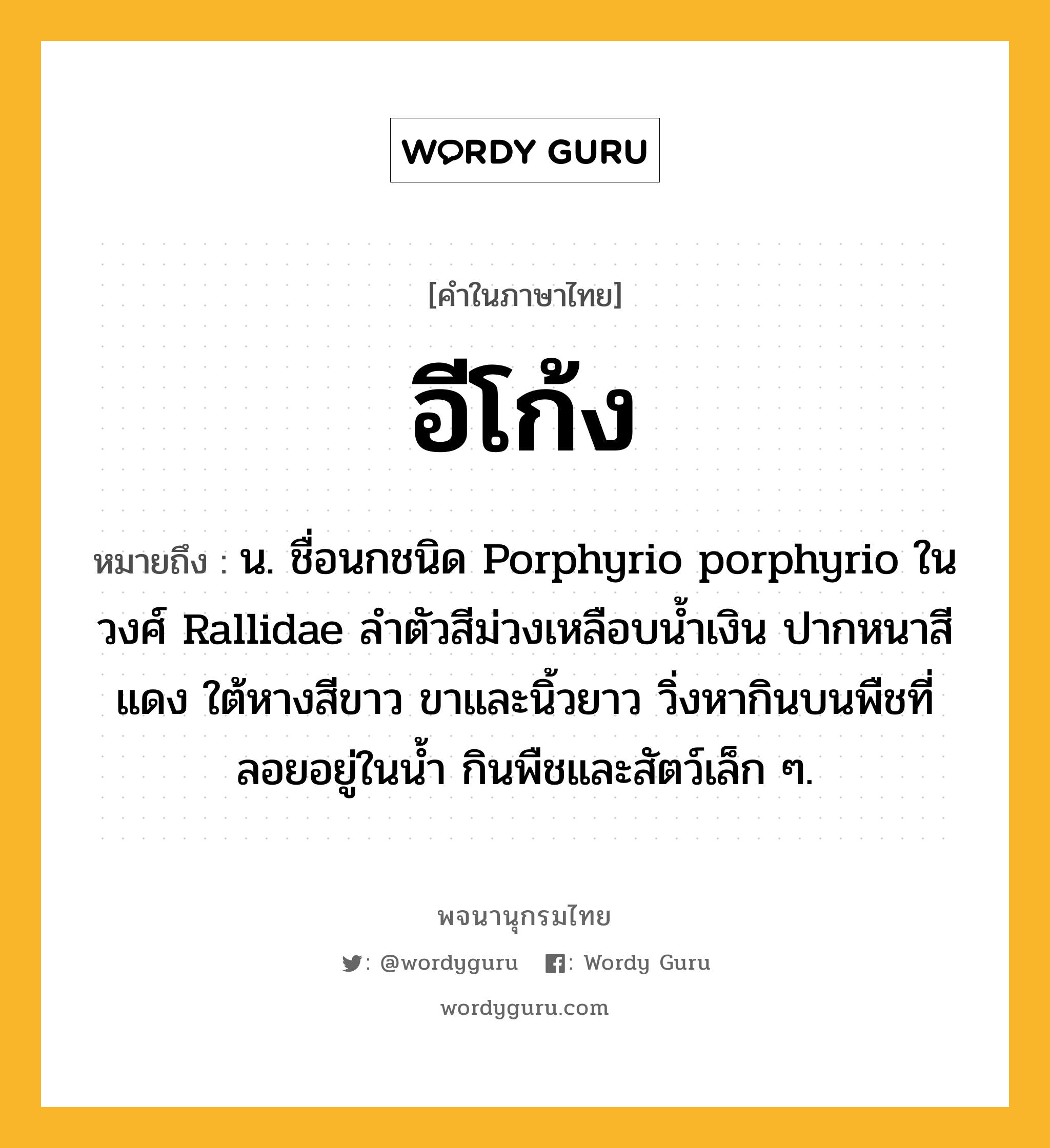 อีโก้ง หมายถึงอะไร?, คำในภาษาไทย อีโก้ง หมายถึง น. ชื่อนกชนิด Porphyrio porphyrio ในวงศ์ Rallidae ลําตัวสีม่วงเหลือบนํ้าเงิน ปากหนาสีแดง ใต้หางสีขาว ขาและนิ้วยาว วิ่งหากินบนพืชที่ลอยอยู่ในนํ้า กินพืชและสัตว์เล็ก ๆ.