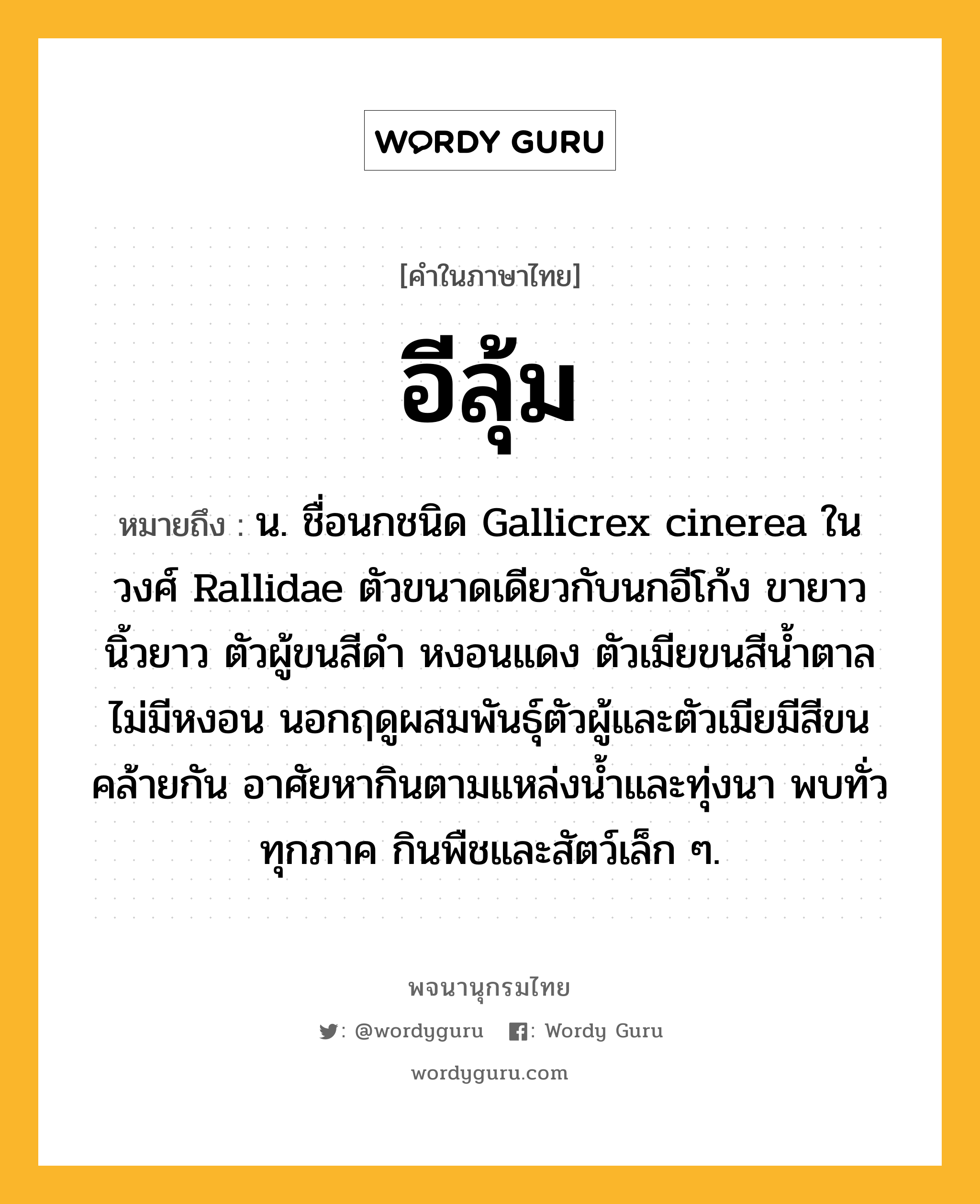 อีลุ้ม หมายถึงอะไร?, คำในภาษาไทย อีลุ้ม หมายถึง น. ชื่อนกชนิด Gallicrex cinerea ในวงศ์ Rallidae ตัวขนาดเดียวกับนกอีโก้ง ขายาว นิ้วยาว ตัวผู้ขนสีดํา หงอนแดง ตัวเมียขนสีนํ้าตาล ไม่มีหงอน นอกฤดูผสมพันธุ์ตัวผู้และตัวเมียมีสีขนคล้ายกัน อาศัยหากินตามแหล่งน้ำและทุ่งนา พบทั่วทุกภาค กินพืชและสัตว์เล็ก ๆ.