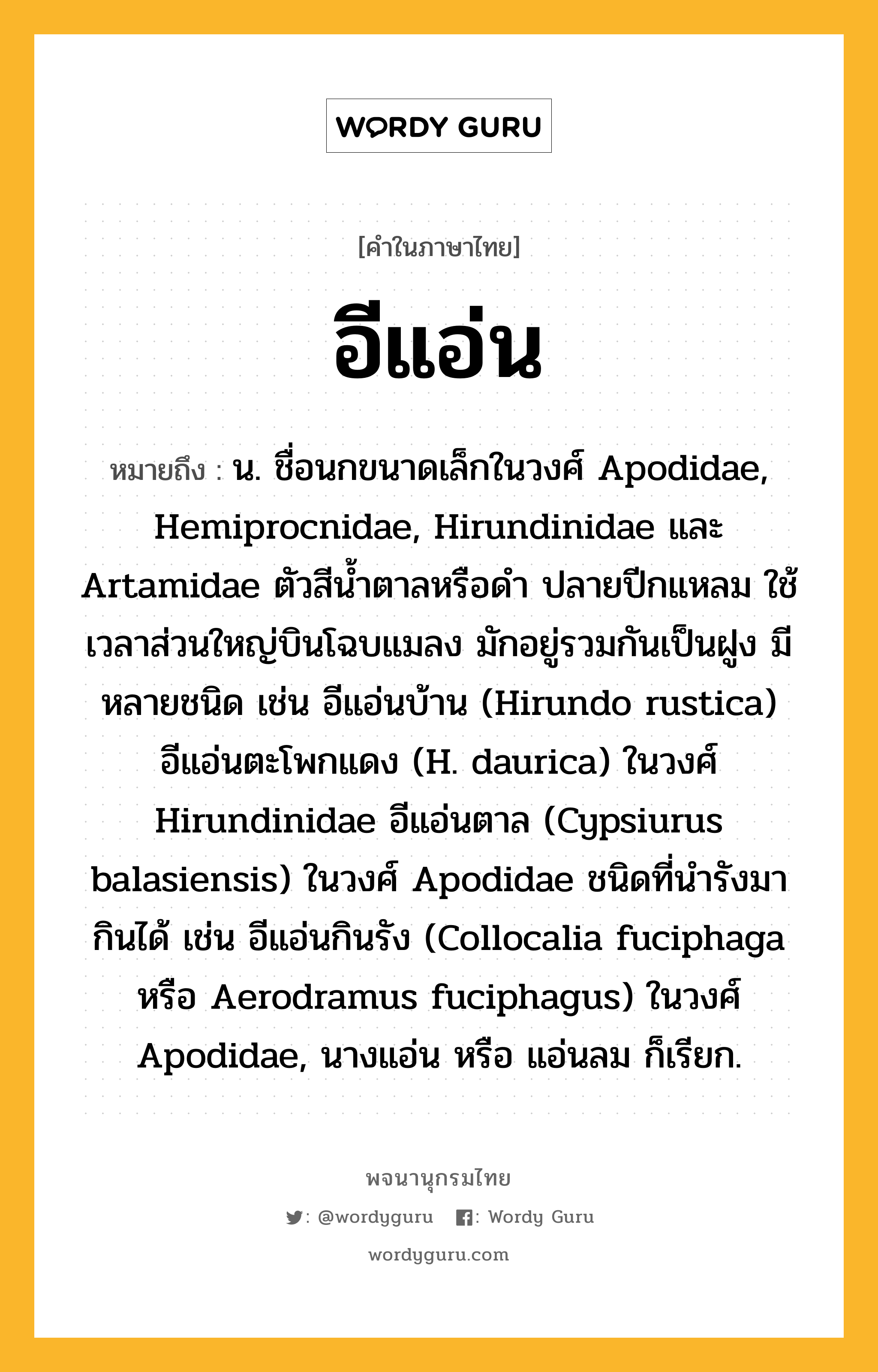 อีแอ่น ความหมาย หมายถึงอะไร?, คำในภาษาไทย อีแอ่น หมายถึง น. ชื่อนกขนาดเล็กในวงศ์ Apodidae, Hemiprocnidae, Hirundinidae และ Artamidae ตัวสีนํ้าตาลหรือดํา ปลายปีกแหลม ใช้เวลาส่วนใหญ่บินโฉบแมลง มักอยู่รวมกันเป็นฝูง มีหลายชนิด เช่น อีแอ่นบ้าน (Hirundo rustica) อีแอ่นตะโพกแดง (H. daurica) ในวงศ์ Hirundinidae อีแอ่นตาล (Cypsiurus balasiensis) ในวงศ์ Apodidae ชนิดที่นํารังมากินได้ เช่น อีแอ่นกินรัง (Collocalia fuciphaga หรือ Aerodramus fuciphagus) ในวงศ์ Apodidae, นางแอ่น หรือ แอ่นลม ก็เรียก.