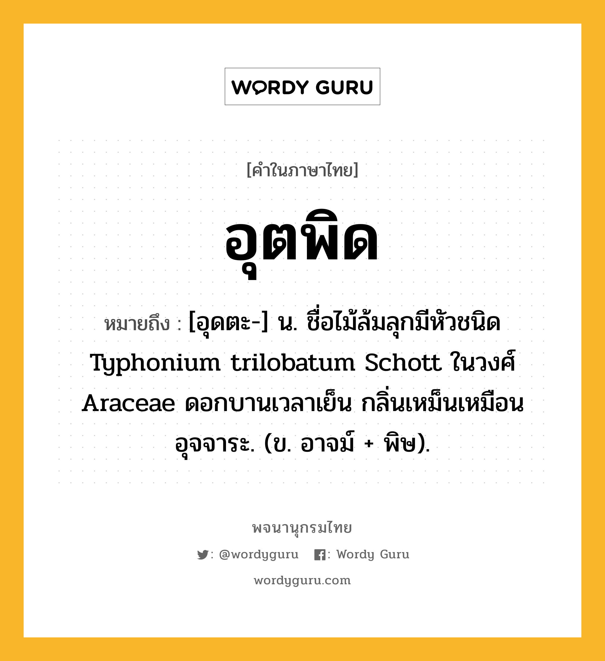 อุตพิด หมายถึงอะไร?, คำในภาษาไทย อุตพิด หมายถึง [อุดตะ-] น. ชื่อไม้ล้มลุกมีหัวชนิด Typhonium trilobatum Schott ในวงศ์ Araceae ดอกบานเวลาเย็น กลิ่นเหม็นเหมือนอุจจาระ. (ข. อาจม์ + พิษ).