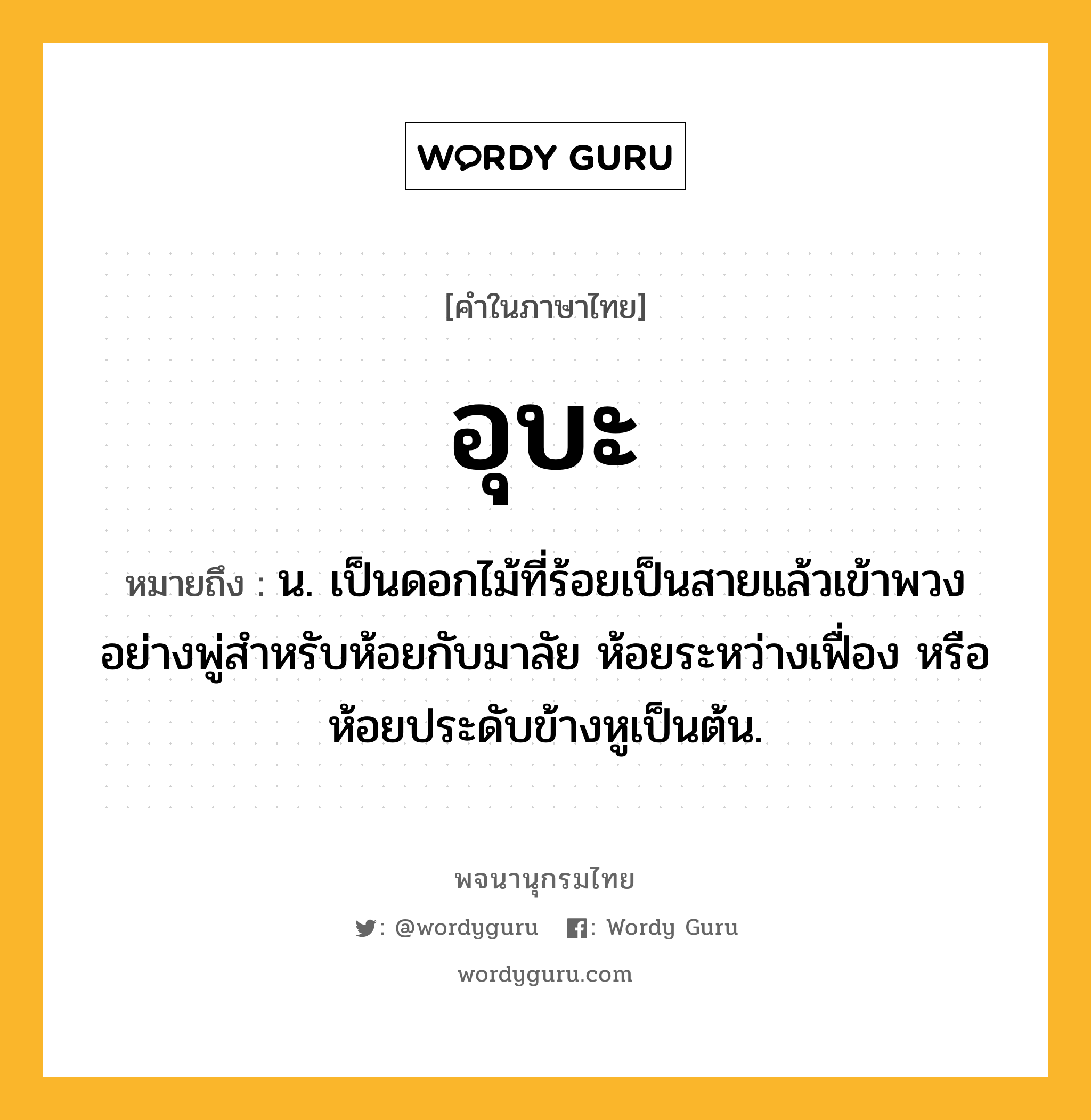 อุบะ หมายถึงอะไร?, คำในภาษาไทย อุบะ หมายถึง น. เป็นดอกไม้ที่ร้อยเป็นสายแล้วเข้าพวงอย่างพู่สำหรับห้อยกับมาลัย ห้อยระหว่างเฟื่อง หรือห้อยประดับข้างหูเป็นต้น.