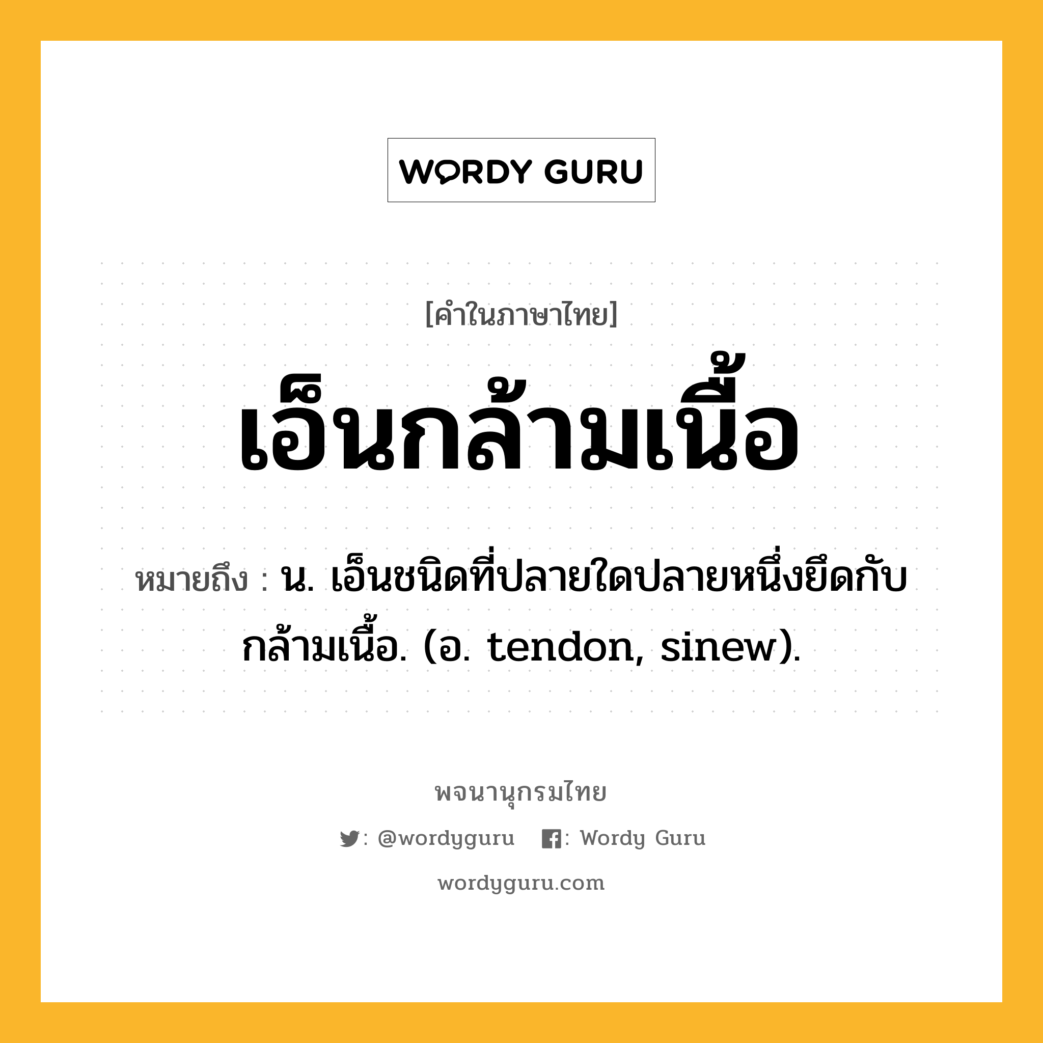 เอ็นกล้ามเนื้อ หมายถึงอะไร?, คำในภาษาไทย เอ็นกล้ามเนื้อ หมายถึง น. เอ็นชนิดที่ปลายใดปลายหนึ่งยึดกับกล้ามเนื้อ. (อ. tendon, sinew).