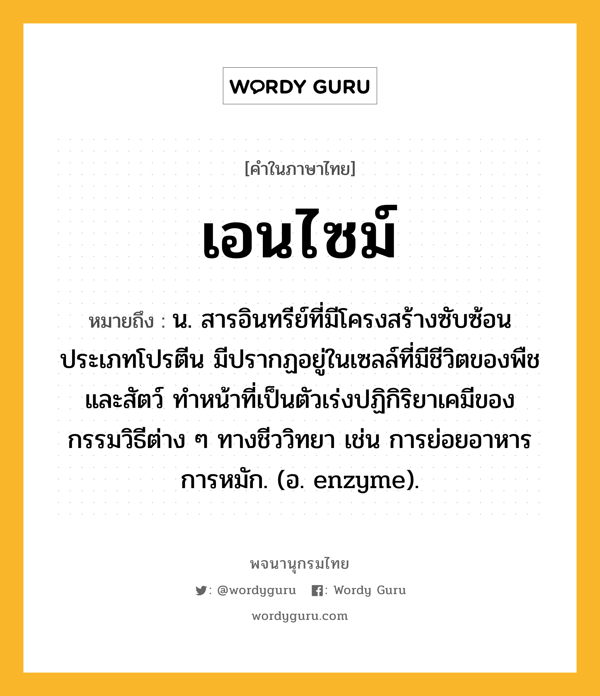 เอนไซม์ หมายถึงอะไร?, คำในภาษาไทย เอนไซม์ หมายถึง น. สารอินทรีย์ที่มีโครงสร้างซับซ้อนประเภทโปรตีน มีปรากฏอยู่ในเซลล์ที่มีชีวิตของพืชและสัตว์ ทําหน้าที่เป็นตัวเร่งปฏิกิริยาเคมีของกรรมวิธีต่าง ๆ ทางชีววิทยา เช่น การย่อยอาหาร การหมัก. (อ. enzyme).