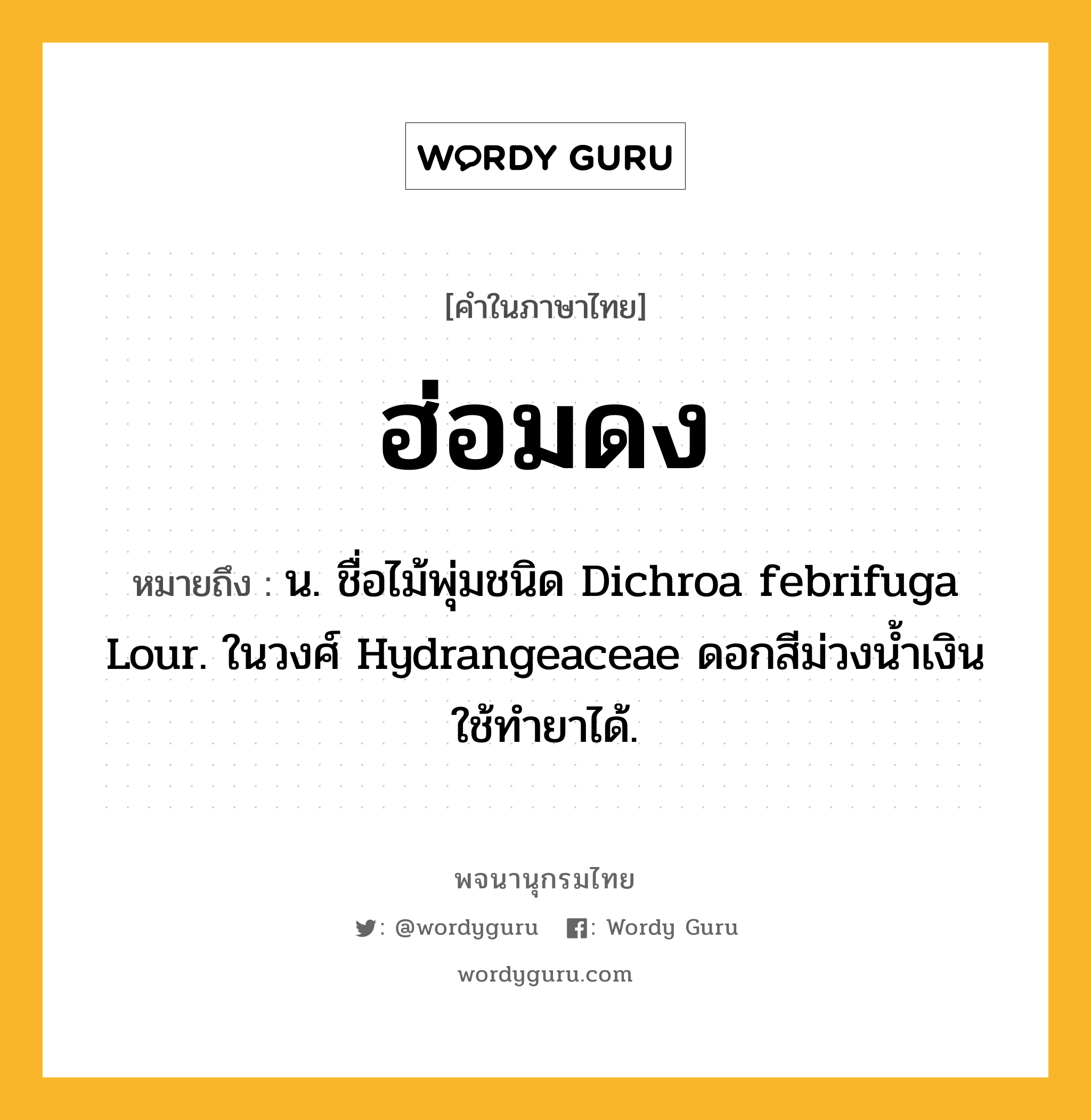 ฮ่อมดง หมายถึงอะไร?, คำในภาษาไทย ฮ่อมดง หมายถึง น. ชื่อไม้พุ่มชนิด Dichroa febrifuga Lour. ในวงศ์ Hydrangeaceae ดอกสีม่วงนํ้าเงิน ใช้ทํายาได้.