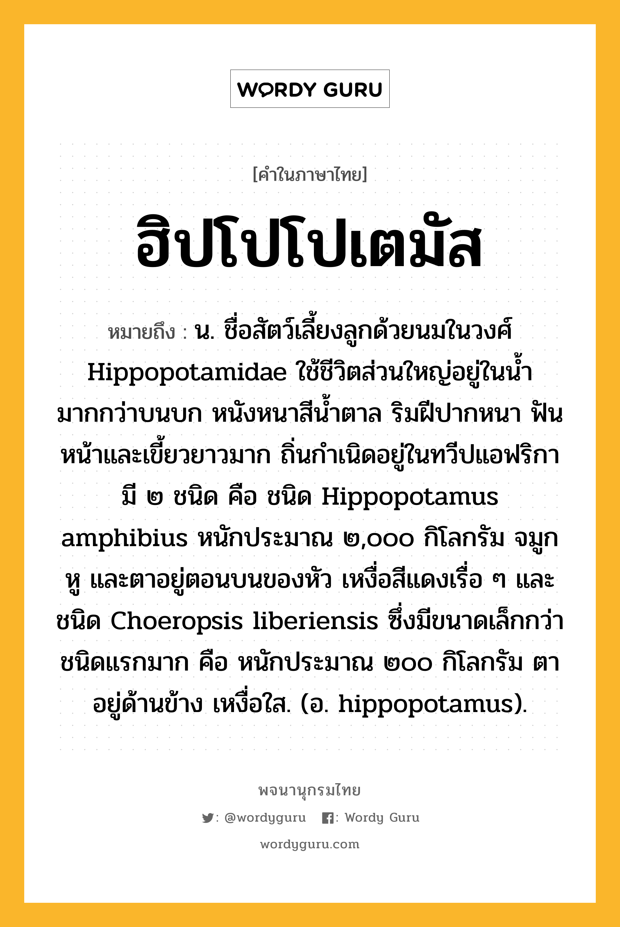 ฮิปโปโปเตมัส หมายถึงอะไร?, คำในภาษาไทย ฮิปโปโปเตมัส หมายถึง น. ชื่อสัตว์เลี้ยงลูกด้วยนมในวงศ์ Hippopotamidae ใช้ชีวิตส่วนใหญ่อยู่ในนํ้ามากกว่าบนบก หนังหนาสีนํ้าตาล ริมฝีปากหนา ฟันหน้าและเขี้ยวยาวมาก ถิ่นกําเนิดอยู่ในทวีปแอฟริกา มี ๒ ชนิด คือ ชนิด Hippopotamus amphibius หนักประมาณ ๒,๐๐๐ กิโลกรัม จมูก หู และตาอยู่ตอนบนของหัว เหงื่อสีแดงเรื่อ ๆ และชนิด Choeropsis liberiensis ซึ่งมีขนาดเล็กกว่าชนิดแรกมาก คือ หนักประมาณ ๒๐๐ กิโลกรัม ตาอยู่ด้านข้าง เหงื่อใส. (อ. hippopotamus).