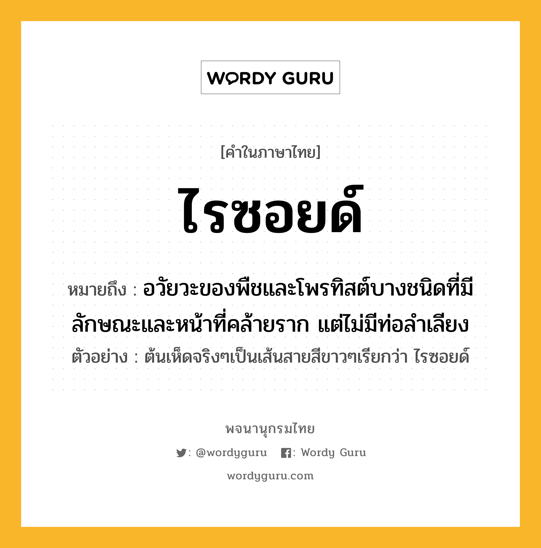 ไรซอยด์ หมายถึงอะไร?, คำในภาษาไทย ไรซอยด์ หมายถึง อวัยวะของพืชและโพรทิสต์บางชนิดที่มีลักษณะและหน้าที่คล้ายราก แต่ไม่มีท่อลำเลียง ตัวอย่าง ต้นเห็ดจริงๆเป็นเส้นสายสีขาวๆเรียกว่า ไรซอยด์