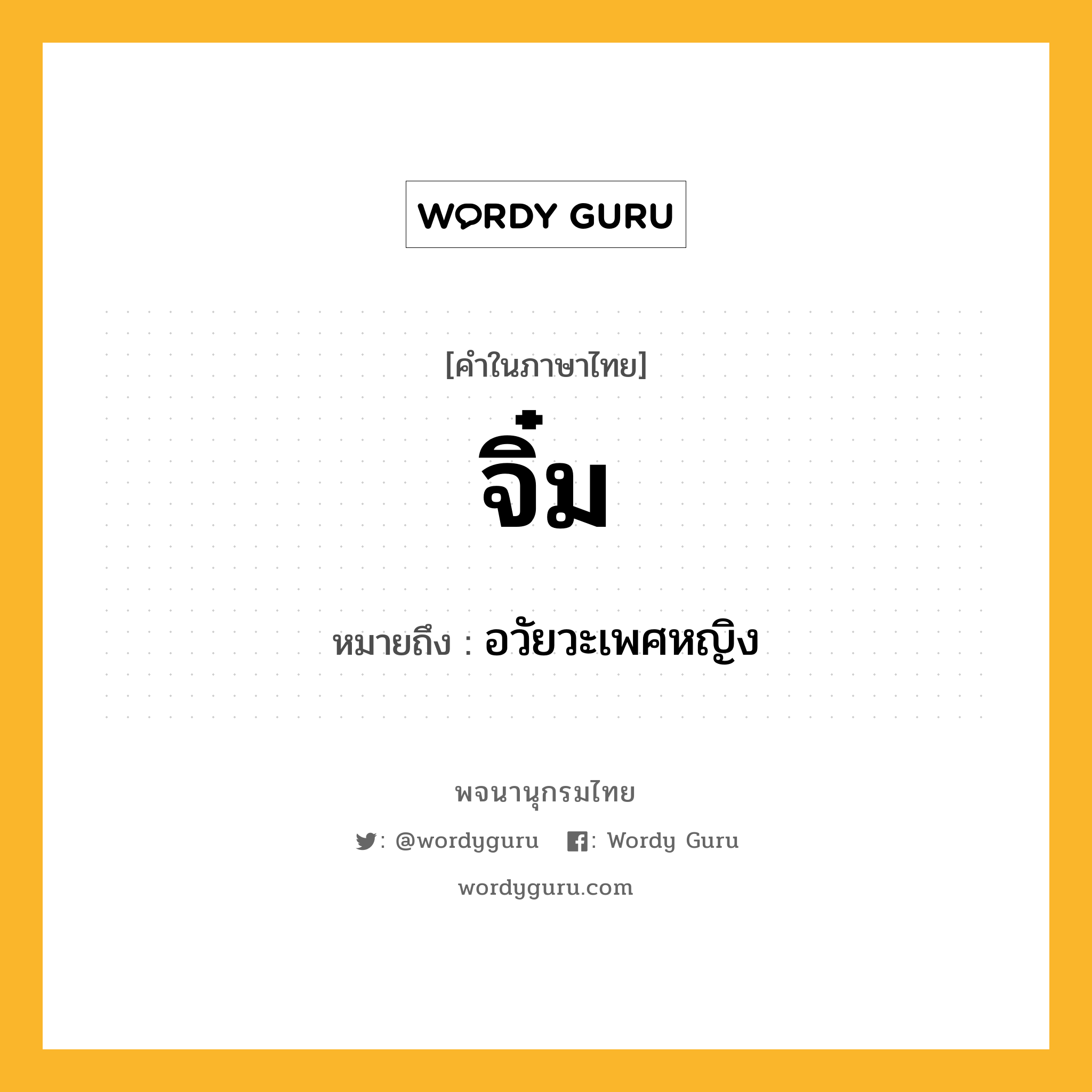 จิ๋ม ความหมาย หมายถึงอะไร?, คำในภาษาไทย จิ๋ม หมายถึง อวัยวะเพศหญิง ประเภท น หมวด น