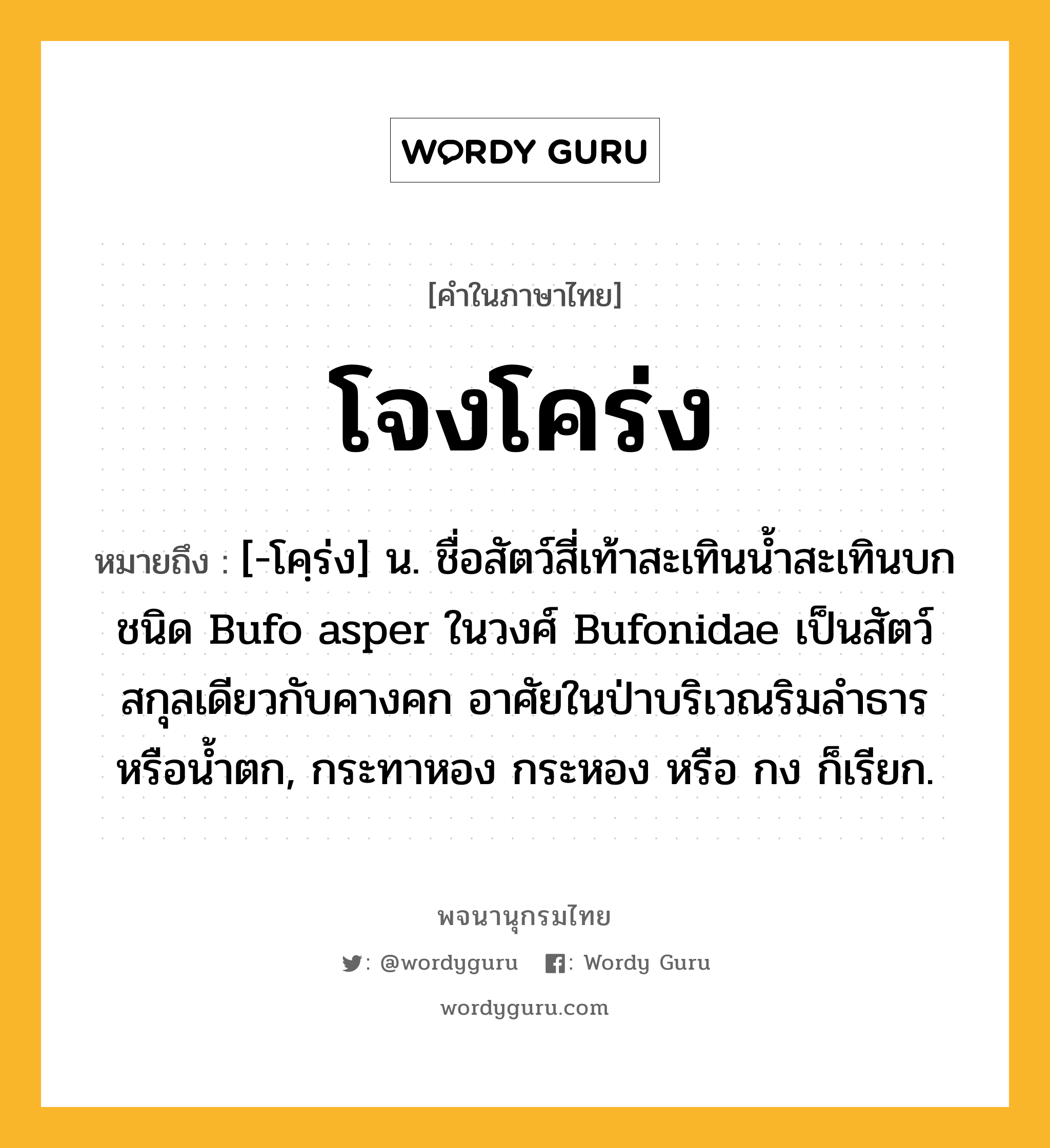 โจงโคร่ง หมายถึงอะไร?, คำในภาษาไทย โจงโคร่ง หมายถึง [-โคฺร่ง] น. ชื่อสัตว์สี่เท้าสะเทินนํ้าสะเทินบกชนิด Bufo asper ในวงศ์ Bufonidae เป็นสัตว์สกุลเดียวกับคางคก อาศัยในป่าบริเวณริมลําธารหรือน้ำตก, กระทาหอง กระหอง หรือ กง ก็เรียก.