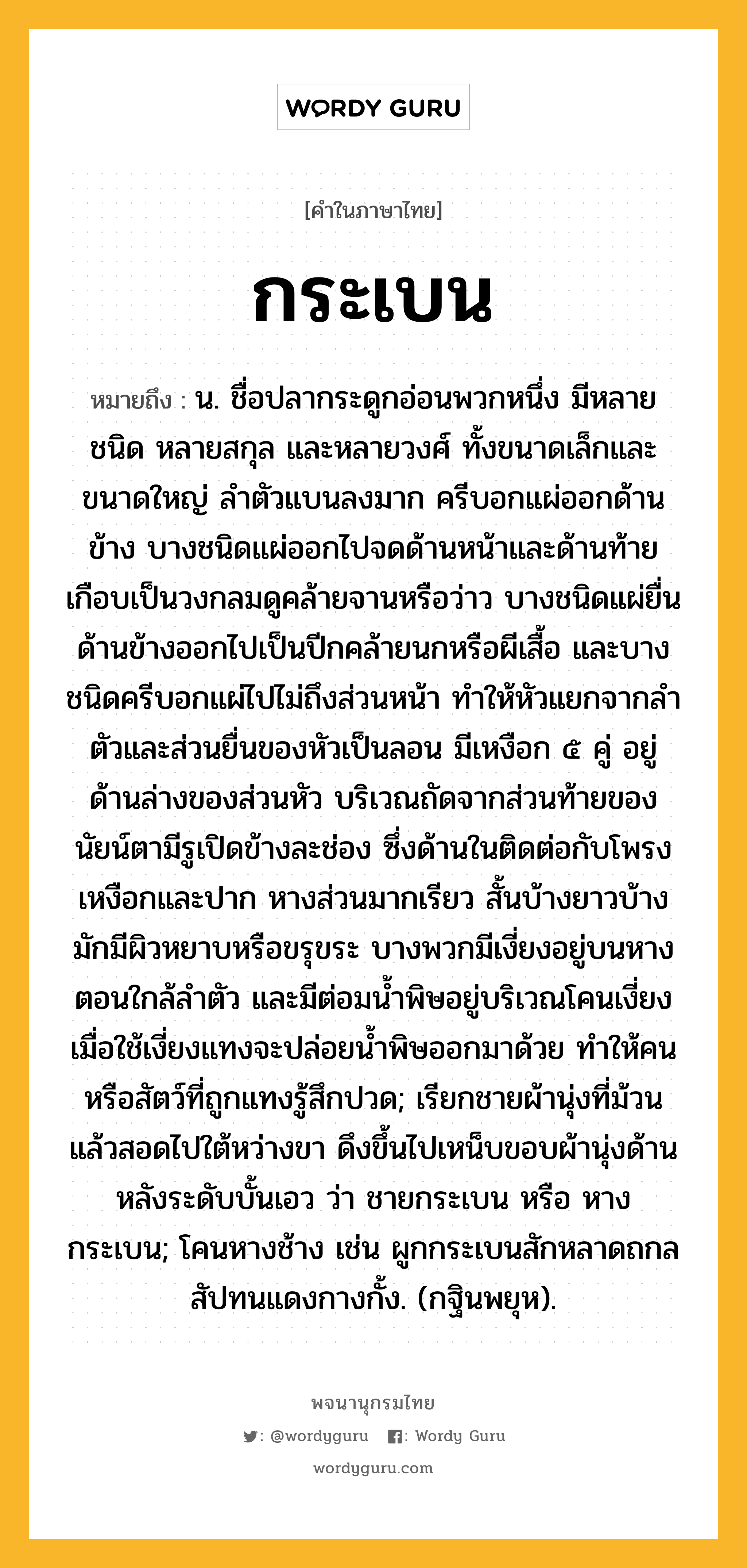 กระเบน หมายถึงอะไร?, คำในภาษาไทย กระเบน หมายถึง น. ชื่อปลากระดูกอ่อนพวกหนึ่ง มีหลายชนิด หลายสกุล และหลายวงศ์ ทั้งขนาดเล็กและขนาดใหญ่ ลําตัวแบนลงมาก ครีบอกแผ่ออกด้านข้าง บางชนิดแผ่ออกไปจดด้านหน้าและด้านท้ายเกือบเป็นวงกลมดูคล้ายจานหรือว่าว บางชนิดแผ่ยื่นด้านข้างออกไปเป็นปีกคล้ายนกหรือผีเสื้อ และบางชนิดครีบอกแผ่ไปไม่ถึงส่วนหน้า ทำให้หัวแยกจากลำตัวและส่วนยื่นของหัวเป็นลอน มีเหงือก ๕ คู่ อยู่ด้านล่างของส่วนหัว บริเวณถัดจากส่วนท้ายของนัยน์ตามีรูเปิดข้างละช่อง ซึ่งด้านในติดต่อกับโพรงเหงือกและปาก หางส่วนมากเรียว สั้นบ้างยาวบ้าง มักมีผิวหยาบหรือขรุขระ บางพวกมีเงี่ยงอยู่บนหางตอนใกล้ลำตัว และมีต่อมน้ำพิษอยู่บริเวณโคนเงี่ยง เมื่อใช้เงี่ยงแทงจะปล่อยน้ำพิษออกมาด้วย ทำให้คนหรือสัตว์ที่ถูกแทงรู้สึกปวด; เรียกชายผ้านุ่งที่ม้วนแล้วสอดไปใต้หว่างขา ดึงขึ้นไปเหน็บขอบผ้านุ่งด้านหลังระดับบั้นเอว ว่า ชายกระเบน หรือ หางกระเบน; โคนหางช้าง เช่น ผูกกระเบนสักหลาดถกล สัปทนแดงกางกั้ง. (กฐินพยุห).