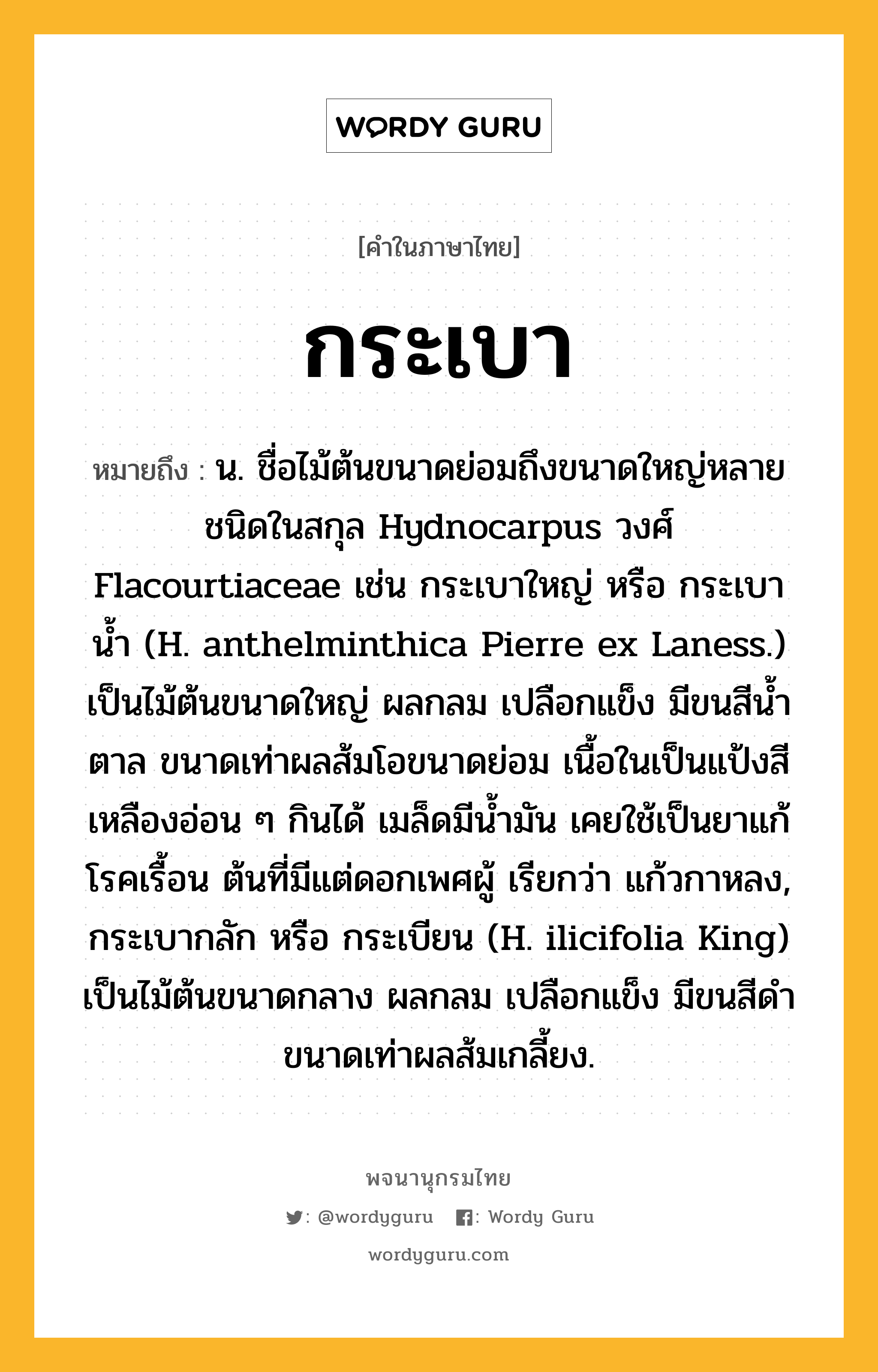 กระเบา หมายถึงอะไร?, คำในภาษาไทย กระเบา หมายถึง น. ชื่อไม้ต้นขนาดย่อมถึงขนาดใหญ่หลายชนิดในสกุล Hydnocarpus วงศ์ Flacourtiaceae เช่น กระเบาใหญ่ หรือ กระเบานํ้า (H. anthelminthica Pierre ex Laness.) เป็นไม้ต้นขนาดใหญ่ ผลกลม เปลือกแข็ง มีขนสีนํ้าตาล ขนาดเท่าผลส้มโอขนาดย่อม เนื้อในเป็นแป้งสีเหลืองอ่อน ๆ กินได้ เมล็ดมีนํ้ามัน เคยใช้เป็นยาแก้โรคเรื้อน ต้นที่มีแต่ดอกเพศผู้ เรียกว่า แก้วกาหลง, กระเบากลัก หรือ กระเบียน (H. ilicifolia King) เป็นไม้ต้นขนาดกลาง ผลกลม เปลือกแข็ง มีขนสีดํา ขนาดเท่าผลส้มเกลี้ยง.