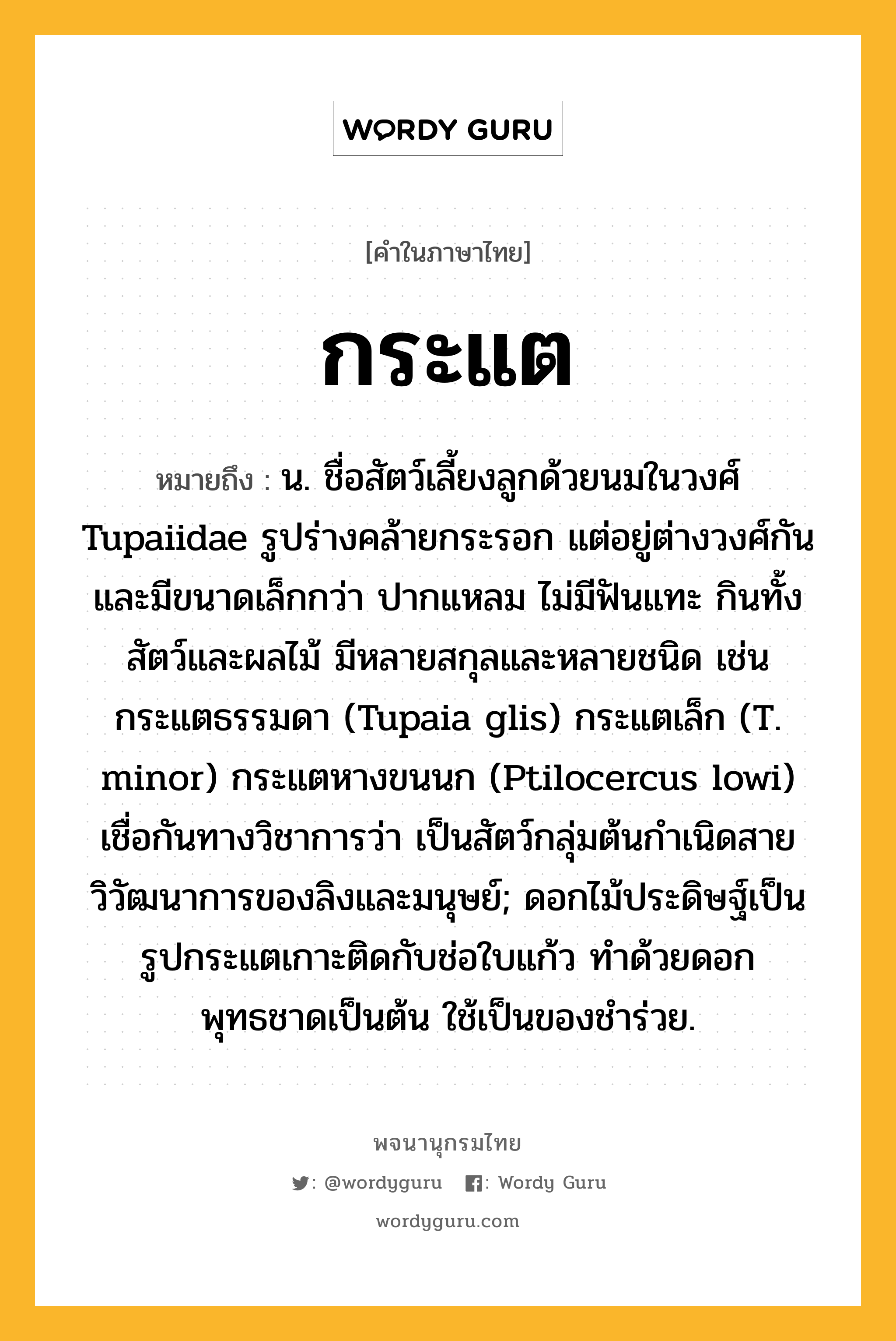 กระแต หมายถึงอะไร?, คำในภาษาไทย กระแต หมายถึง น. ชื่อสัตว์เลี้ยงลูกด้วยนมในวงศ์ Tupaiidae รูปร่างคล้ายกระรอก แต่อยู่ต่างวงศ์กันและมีขนาดเล็กกว่า ปากแหลม ไม่มีฟันแทะ กินทั้งสัตว์และผลไม้ มีหลายสกุลและหลายชนิด เช่น กระแตธรรมดา (Tupaia glis) กระแตเล็ก (T. minor) กระแตหางขนนก (Ptilocercus lowi) เชื่อกันทางวิชาการว่า เป็นสัตว์กลุ่มต้นกําเนิดสายวิวัฒนาการของลิงและมนุษย์; ดอกไม้ประดิษฐ์เป็นรูปกระแตเกาะติดกับช่อใบแก้ว ทำด้วยดอกพุทธชาดเป็นต้น ใช้เป็นของชำร่วย.