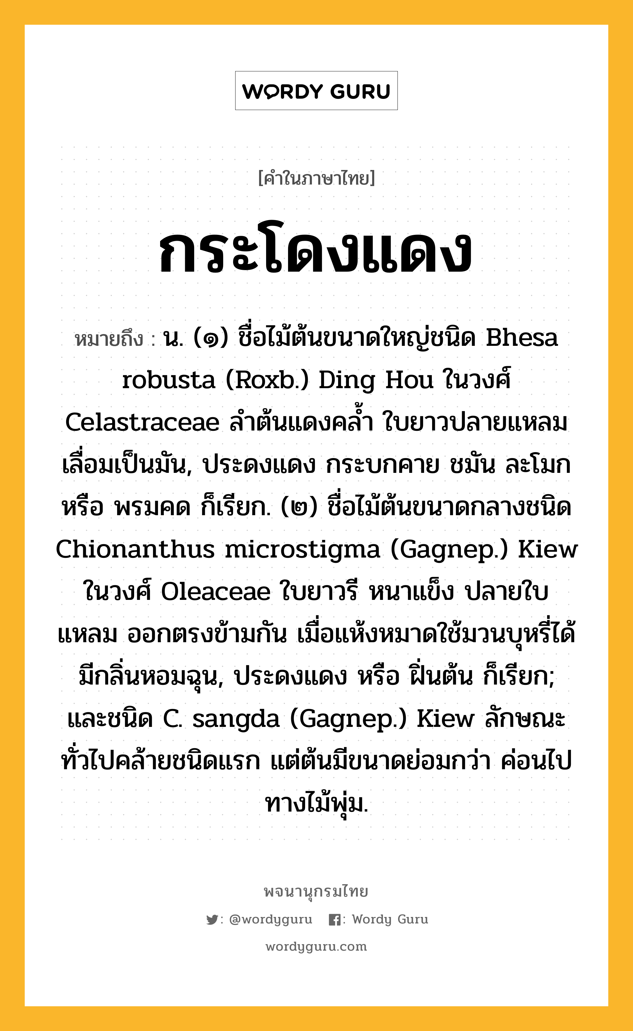 กระโดงแดง หมายถึงอะไร?, คำในภาษาไทย กระโดงแดง หมายถึง น. (๑) ชื่อไม้ต้นขนาดใหญ่ชนิด Bhesa robusta (Roxb.) Ding Hou ในวงศ์ Celastraceae ลําต้นแดงคลํ้า ใบยาวปลายแหลม เลื่อมเป็นมัน, ประดงแดง กระบกคาย ชมัน ละโมก หรือ พรมคด ก็เรียก. (๒) ชื่อไม้ต้นขนาดกลางชนิด Chionanthus microstigma (Gagnep.) Kiew ในวงศ์ Oleaceae ใบยาวรี หนาแข็ง ปลายใบแหลม ออกตรงข้ามกัน เมื่อแห้งหมาดใช้มวนบุหรี่ได้ มีกลิ่นหอมฉุน, ประดงแดง หรือ ฝิ่นต้น ก็เรียก; และชนิด C. sangda (Gagnep.) Kiew ลักษณะทั่วไปคล้ายชนิดแรก แต่ต้นมีขนาดย่อมกว่า ค่อนไปทางไม้พุ่ม.