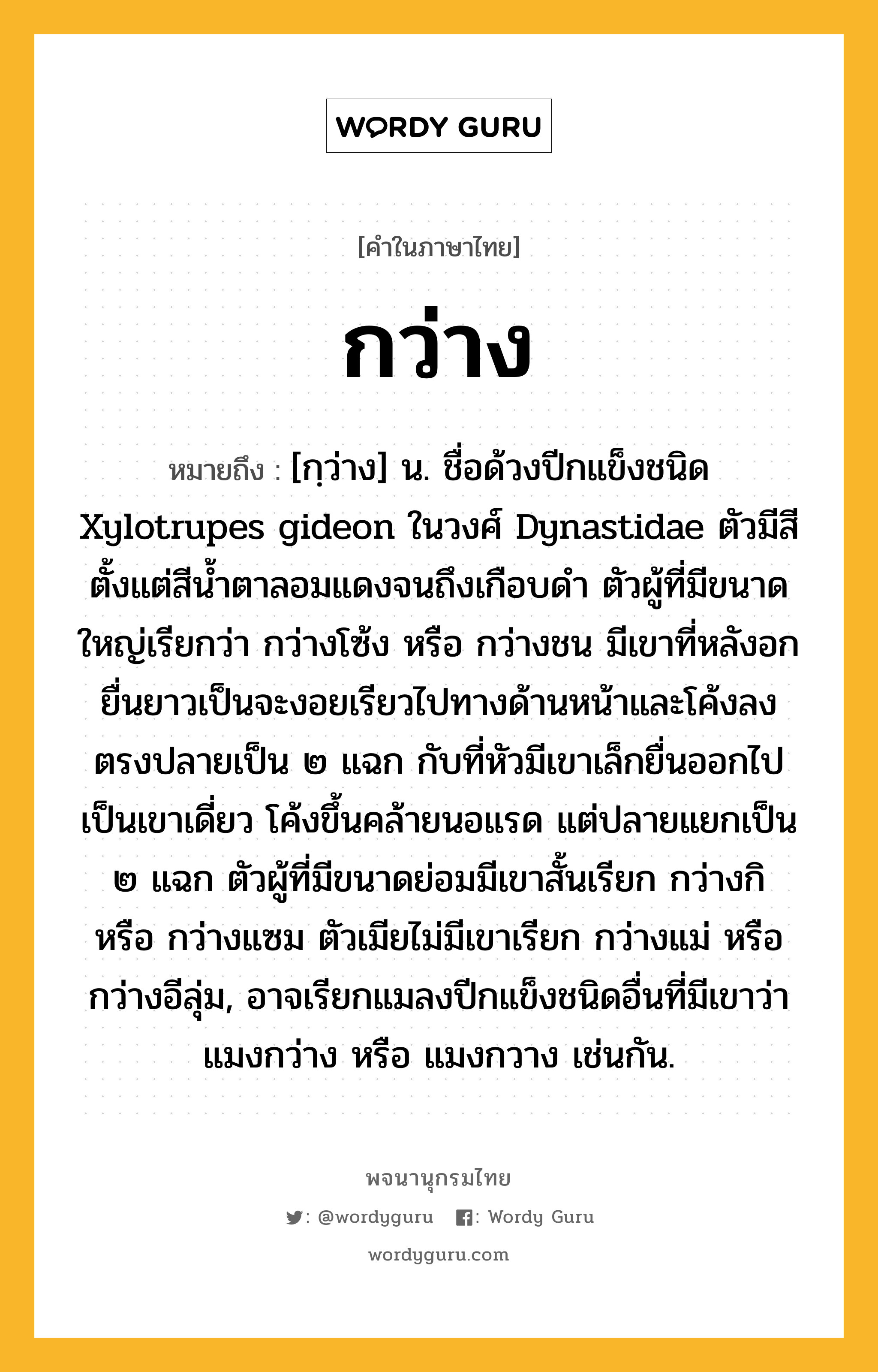 กว่าง หมายถึงอะไร?, คำในภาษาไทย กว่าง หมายถึง [กฺว่าง] น. ชื่อด้วงปีกแข็งชนิด Xylotrupes gideon ในวงศ์ Dynastidae ตัวมีสีตั้งแต่สีน้ำตาลอมแดงจนถึงเกือบดำ ตัวผู้ที่มีขนาดใหญ่เรียกว่า กว่างโซ้ง หรือ กว่างชน มีเขาที่หลังอกยื่นยาวเป็นจะงอยเรียวไปทางด้านหน้าและโค้งลง ตรงปลายเป็น ๒ แฉก กับที่หัวมีเขาเล็กยื่นออกไปเป็นเขาเดี่ยว โค้งขึ้นคล้ายนอแรด แต่ปลายแยกเป็น ๒ แฉก ตัวผู้ที่มีขนาดย่อมมีเขาสั้นเรียก กว่างกิ หรือ กว่างแซม ตัวเมียไม่มีเขาเรียก กว่างแม่ หรือ กว่างอีลุ่ม, อาจเรียกแมลงปีกแข็งชนิดอื่นที่มีเขาว่า แมงกว่าง หรือ แมงกวาง เช่นกัน.