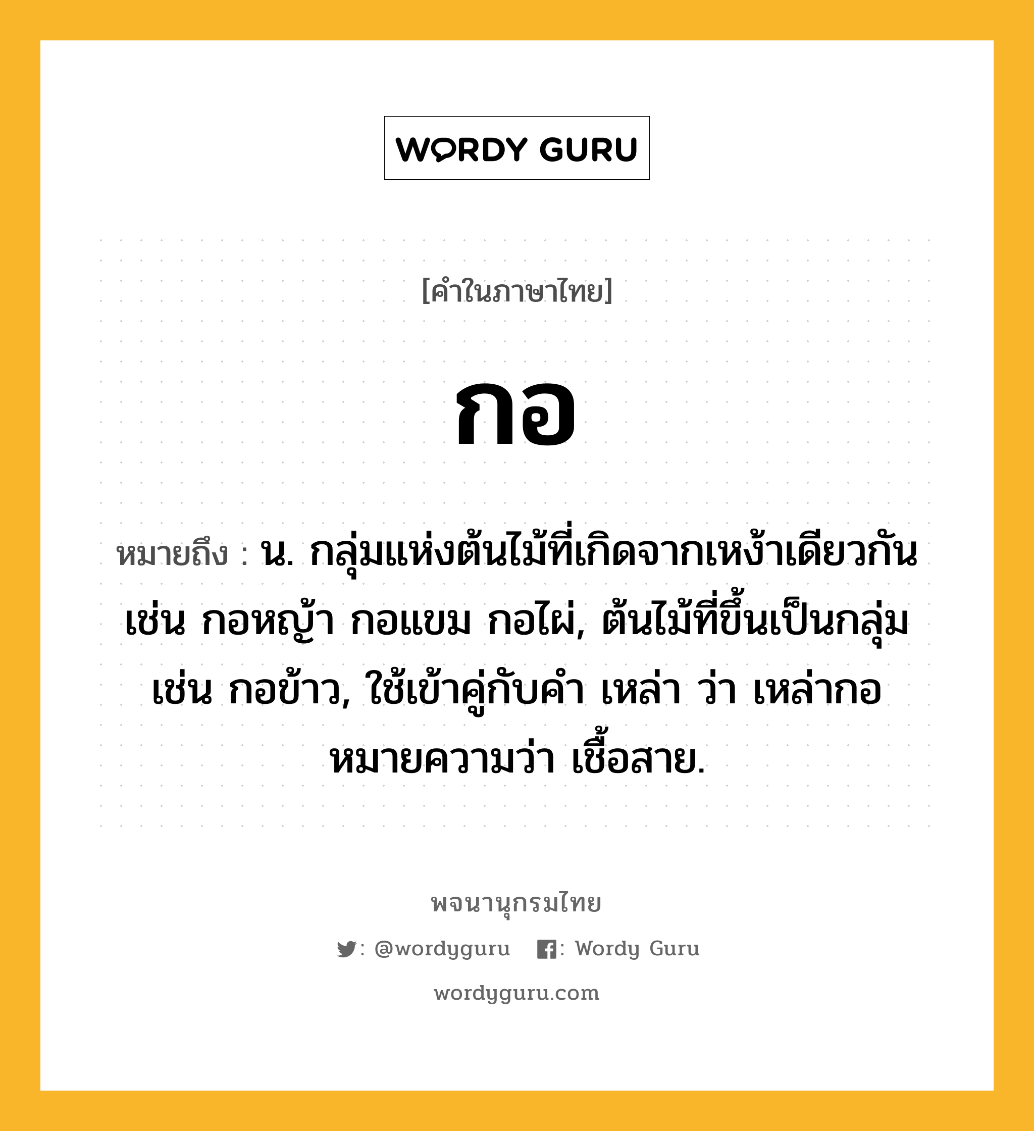 กอ หมายถึงอะไร?, คำในภาษาไทย กอ หมายถึง น. กลุ่มแห่งต้นไม้ที่เกิดจากเหง้าเดียวกัน เช่น กอหญ้า กอแขม กอไผ่, ต้นไม้ที่ขึ้นเป็นกลุ่ม เช่น กอข้าว, ใช้เข้าคู่กับคํา เหล่า ว่า เหล่ากอ หมายความว่า เชื้อสาย.