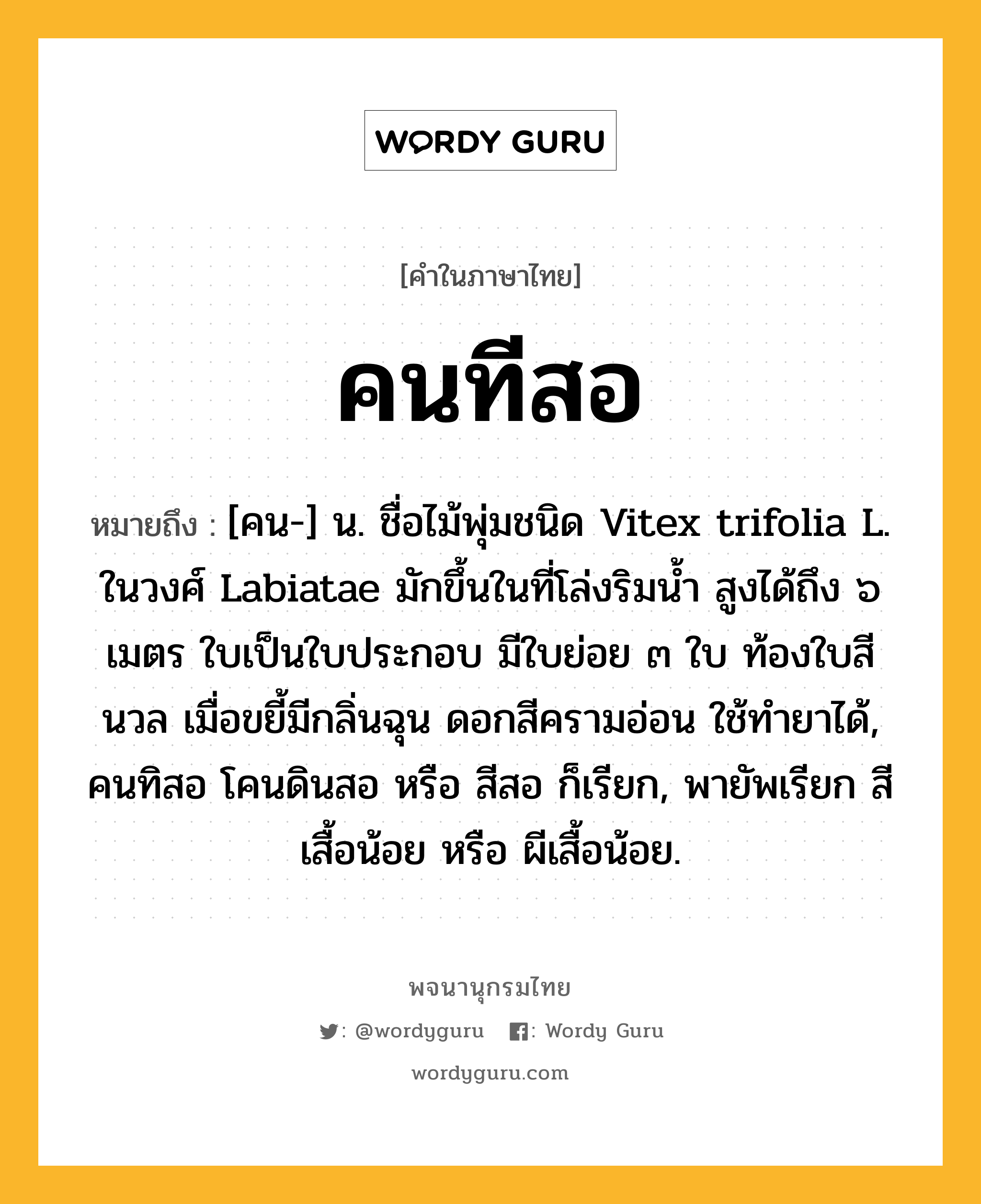 คนทีสอ หมายถึงอะไร?, คำในภาษาไทย คนทีสอ หมายถึง [คน-] น. ชื่อไม้พุ่มชนิด Vitex trifolia L. ในวงศ์ Labiatae มักขึ้นในที่โล่งริมนํ้า สูงได้ถึง ๖ เมตร ใบเป็นใบประกอบ มีใบย่อย ๓ ใบ ท้องใบสีนวล เมื่อขยี้มีกลิ่นฉุน ดอกสีครามอ่อน ใช้ทํายาได้, คนทิสอ โคนดินสอ หรือ สีสอ ก็เรียก, พายัพเรียก สีเสื้อน้อย หรือ ผีเสื้อน้อย.