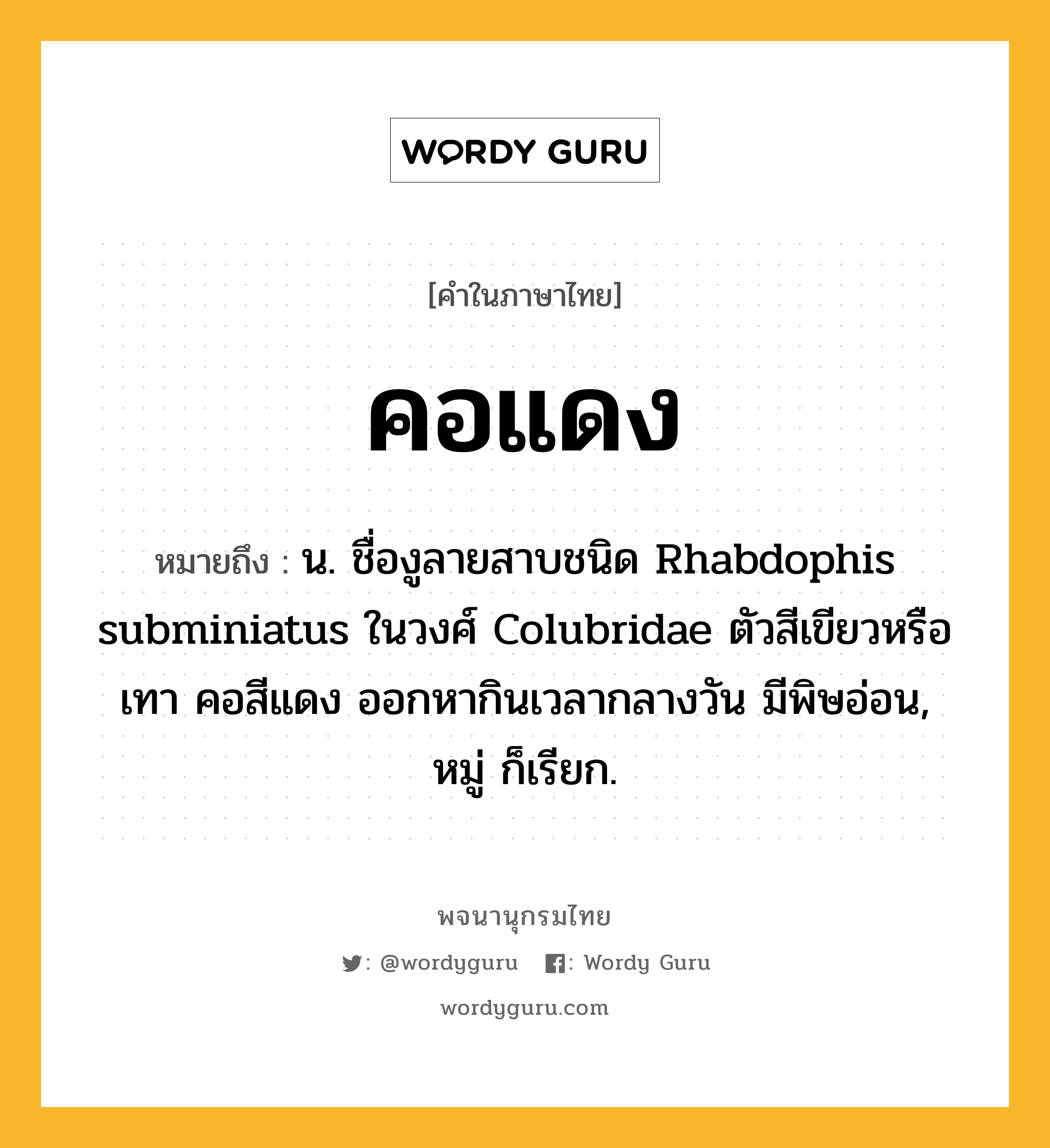 คอแดง หมายถึงอะไร?, คำในภาษาไทย คอแดง หมายถึง น. ชื่องูลายสาบชนิด Rhabdophis subminiatus ในวงศ์ Colubridae ตัวสีเขียวหรือเทา คอสีแดง ออกหากินเวลากลางวัน มีพิษอ่อน, หมู่ ก็เรียก.