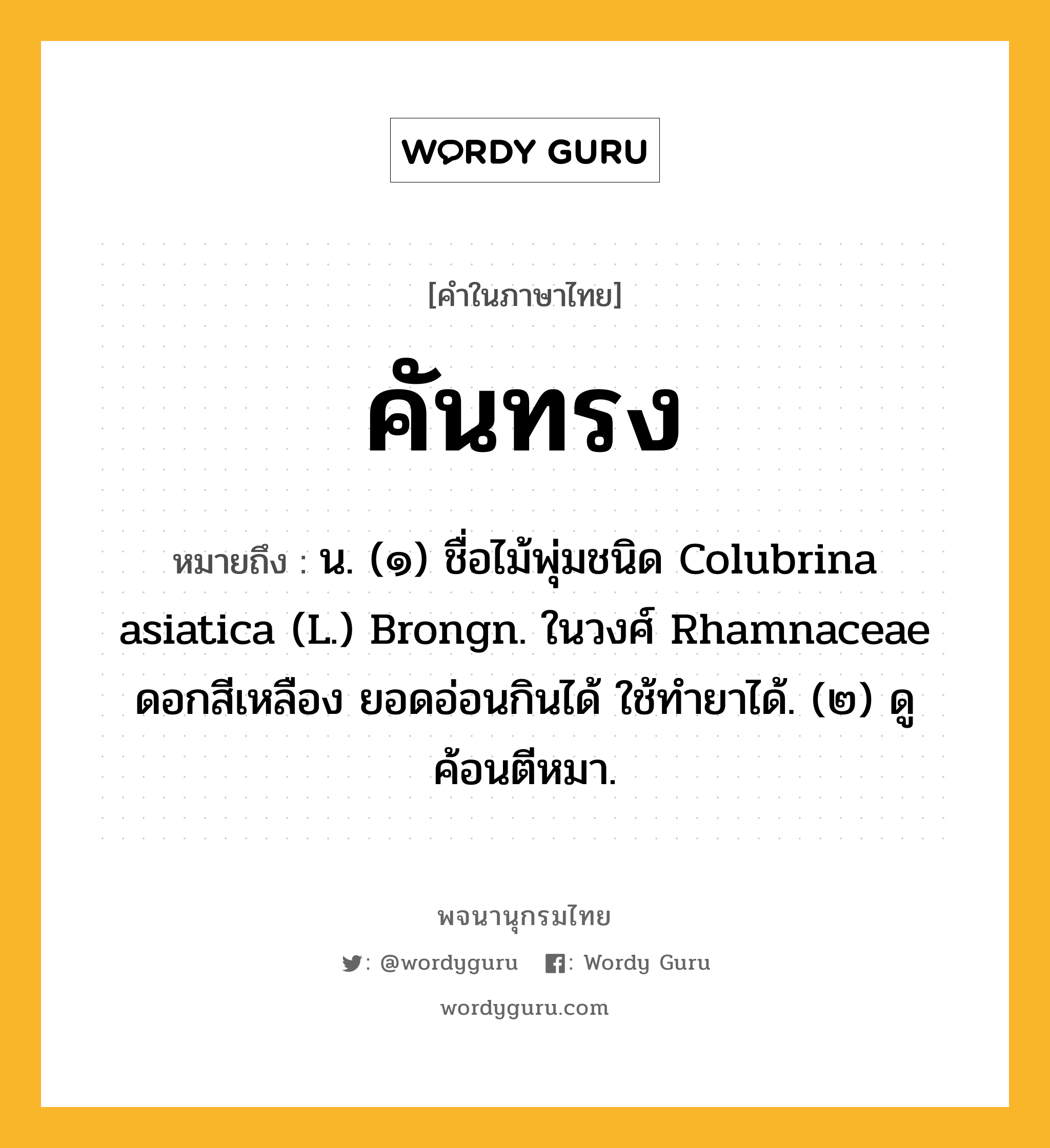 คันทรง หมายถึงอะไร?, คำในภาษาไทย คันทรง หมายถึง น. (๑) ชื่อไม้พุ่มชนิด Colubrina asiatica (L.) Brongn. ในวงศ์ Rhamnaceae ดอกสีเหลือง ยอดอ่อนกินได้ ใช้ทํายาได้. (๒) ดู ค้อนตีหมา.