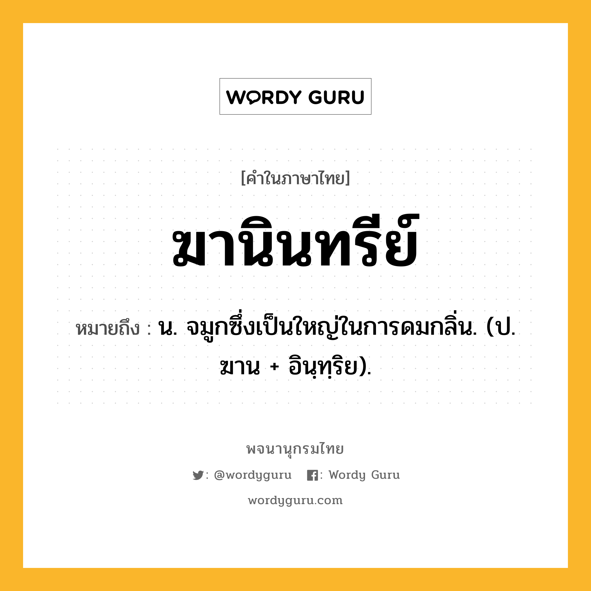 ฆานินทรีย์ หมายถึงอะไร?, คำในภาษาไทย ฆานินทรีย์ หมายถึง น. จมูกซึ่งเป็นใหญ่ในการดมกลิ่น. (ป. ฆาน + อินฺทฺริย).