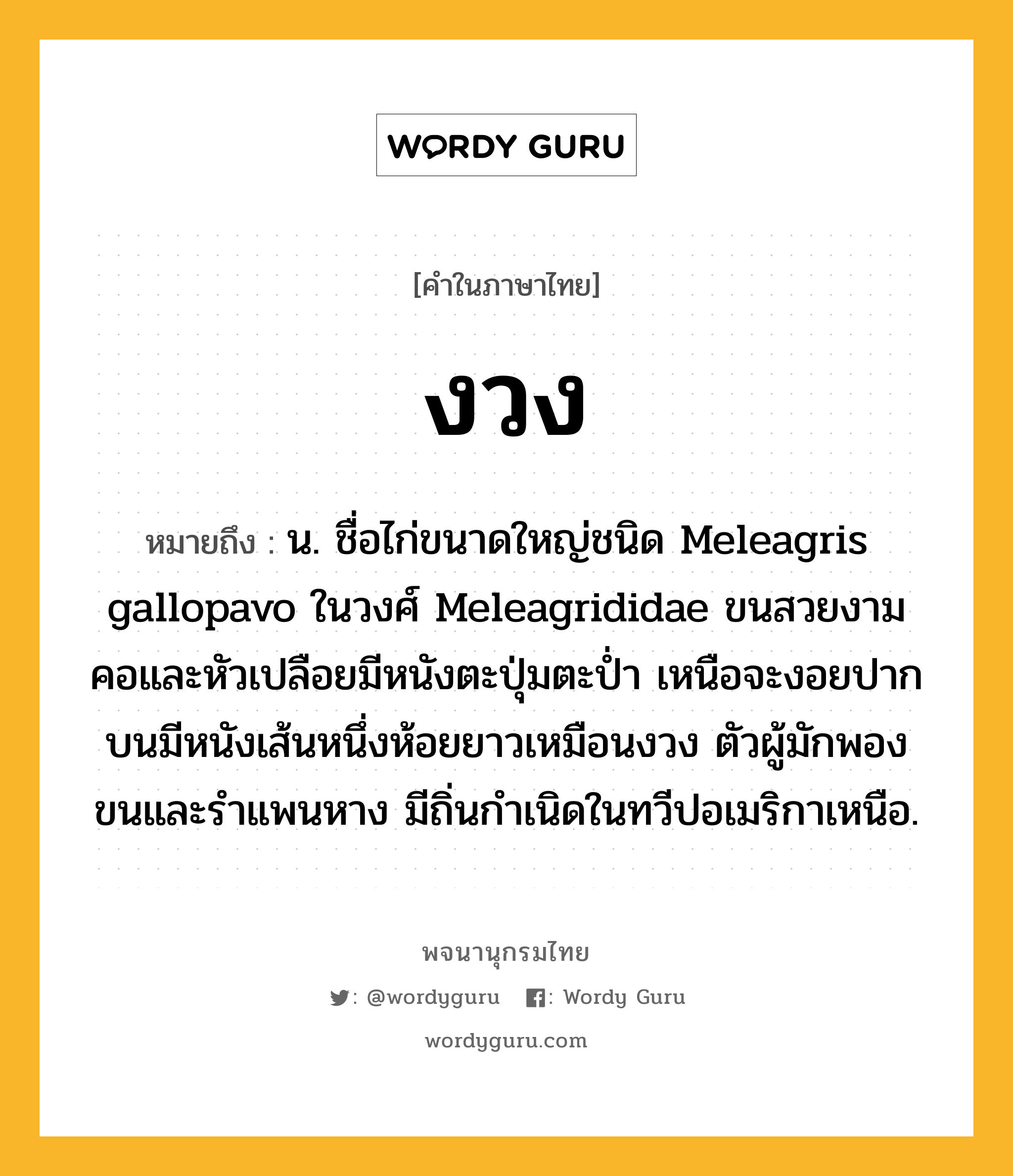 งวง หมายถึงอะไร?, คำในภาษาไทย งวง หมายถึง น. ชื่อไก่ขนาดใหญ่ชนิด Meleagris gallopavo ในวงศ์ Meleagrididae ขนสวยงาม คอและหัวเปลือยมีหนังตะปุ่มตะป่ำ เหนือจะงอยปากบนมีหนังเส้นหนึ่งห้อยยาวเหมือนงวง ตัวผู้มักพองขนและรําแพนหาง มีถิ่นกำเนิดในทวีปอเมริกาเหนือ.