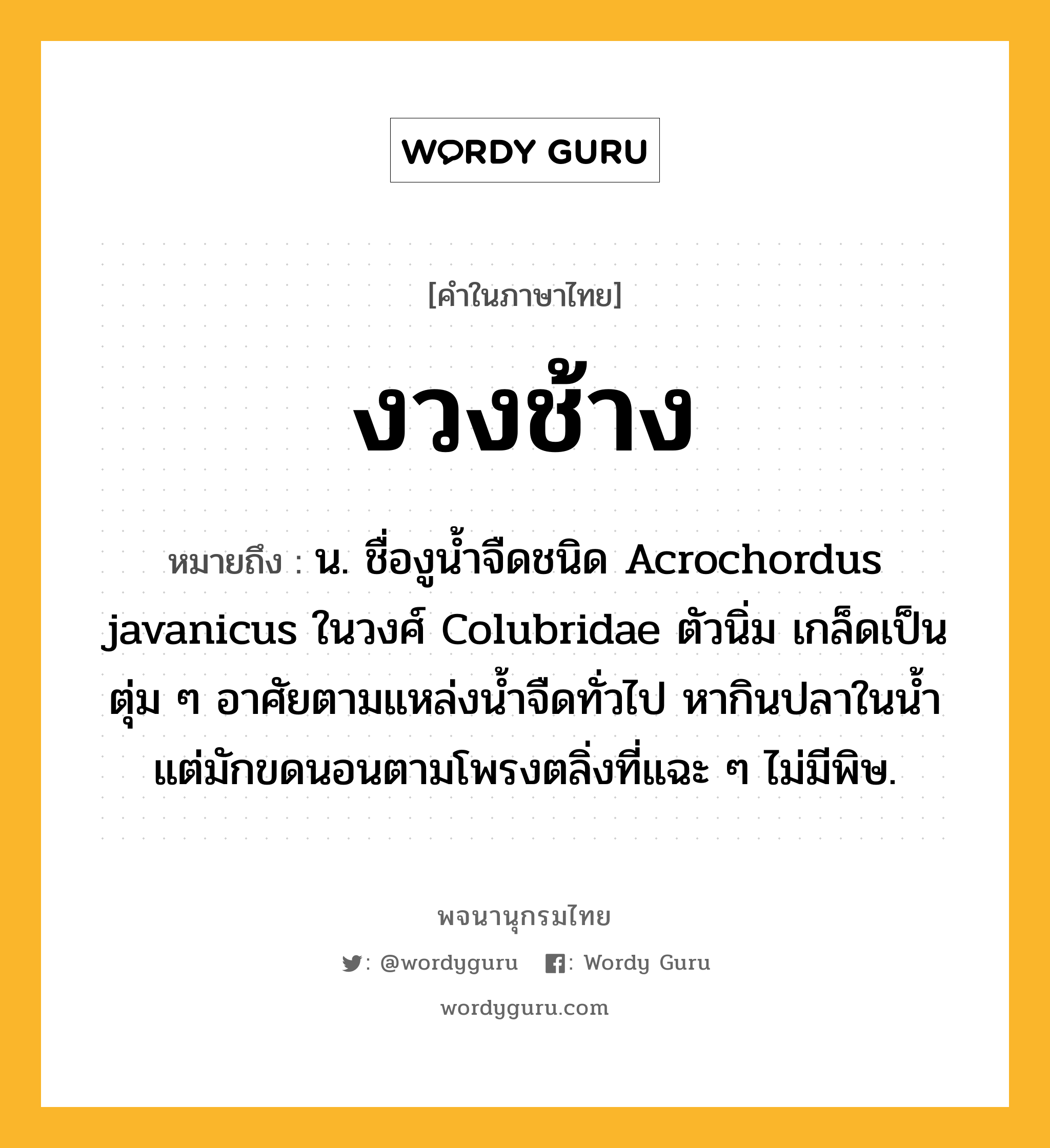 งวงช้าง หมายถึงอะไร?, คำในภาษาไทย งวงช้าง หมายถึง น. ชื่องูนํ้าจืดชนิด Acrochordus javanicus ในวงศ์ Colubridae ตัวนิ่ม เกล็ดเป็นตุ่ม ๆ อาศัยตามแหล่งนํ้าจืดทั่วไป หากินปลาในนํ้า แต่มักขดนอนตามโพรงตลิ่งที่แฉะ ๆ ไม่มีพิษ.