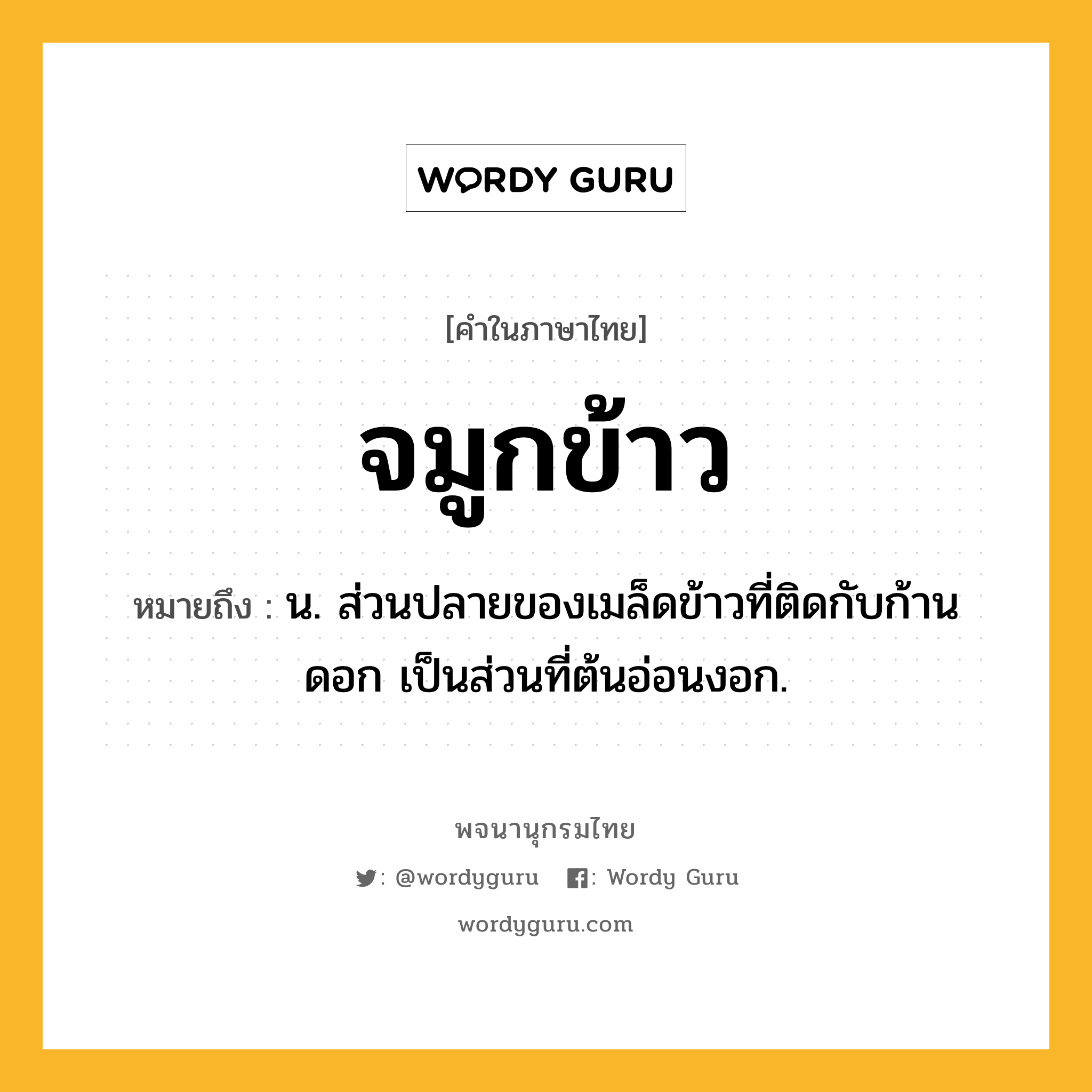 จมูกข้าว หมายถึงอะไร?, คำในภาษาไทย จมูกข้าว หมายถึง น. ส่วนปลายของเมล็ดข้าวที่ติดกับก้านดอก เป็นส่วนที่ต้นอ่อนงอก.