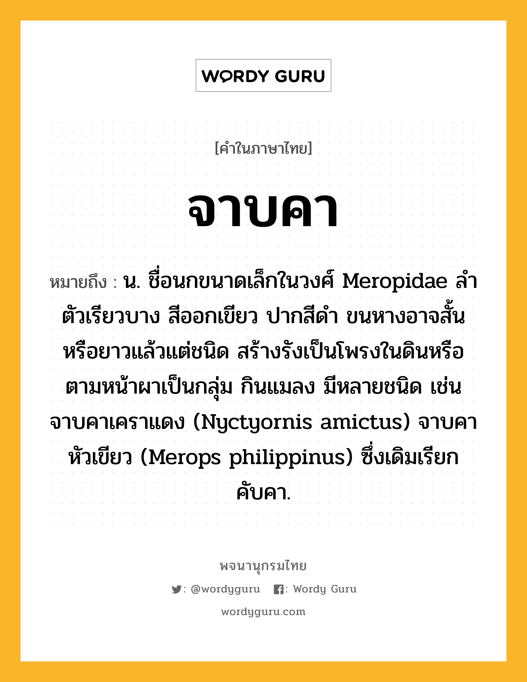 จาบคา หมายถึงอะไร?, คำในภาษาไทย จาบคา หมายถึง น. ชื่อนกขนาดเล็กในวงศ์ Meropidae ลำตัวเรียวบาง สีออกเขียว ปากสีดำ ขนหางอาจสั้นหรือยาวแล้วแต่ชนิด สร้างรังเป็นโพรงในดินหรือตามหน้าผาเป็นกลุ่ม กินแมลง มีหลายชนิด เช่น จาบคาเคราแดง (Nyctyornis amictus) จาบคาหัวเขียว (Merops philippinus) ซึ่งเดิมเรียก คับคา.