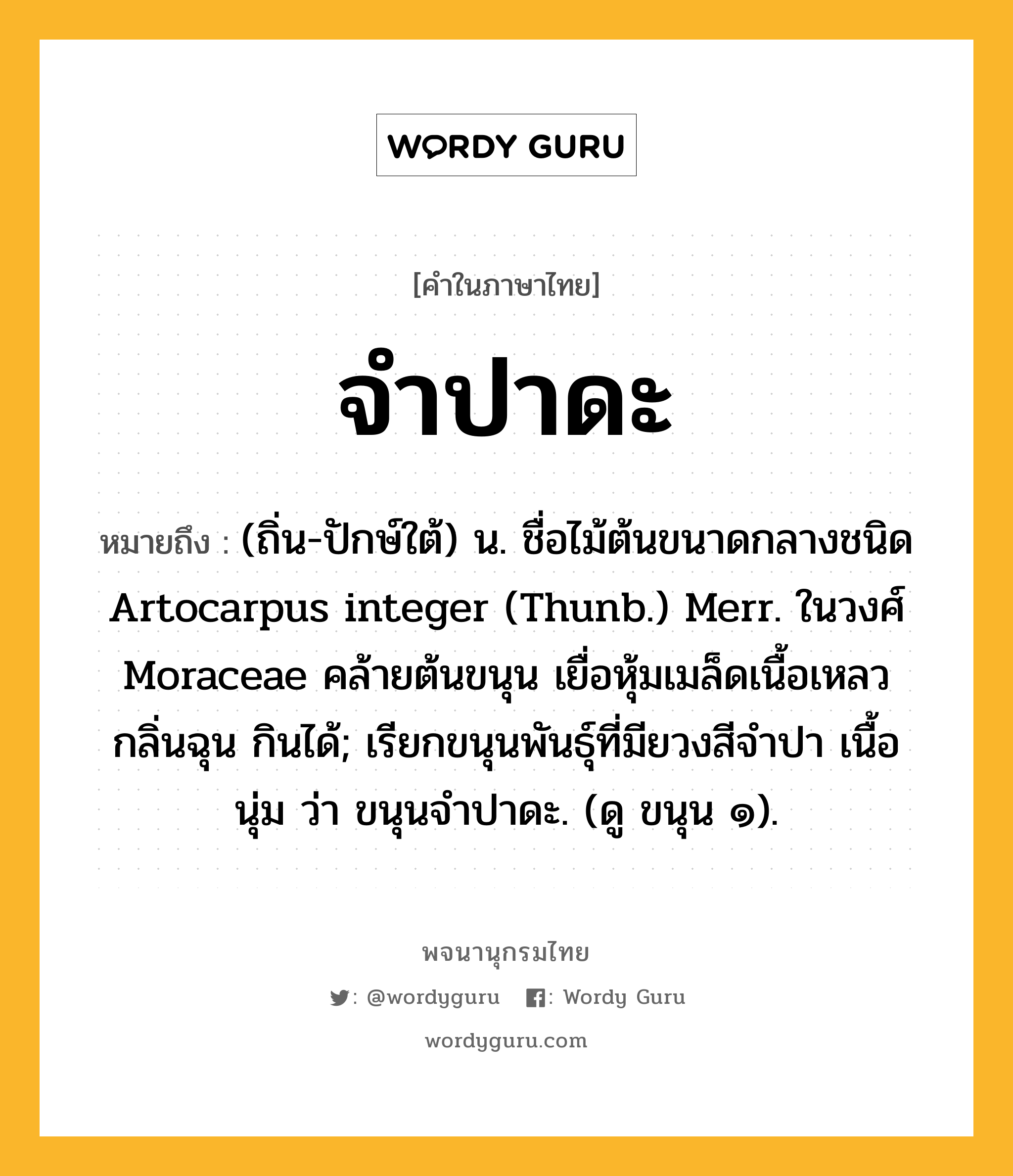 จำปาดะ หมายถึงอะไร?, คำในภาษาไทย จำปาดะ หมายถึง (ถิ่น-ปักษ์ใต้) น. ชื่อไม้ต้นขนาดกลางชนิด Artocarpus integer (Thunb.) Merr. ในวงศ์ Moraceae คล้ายต้นขนุน เยื่อหุ้มเมล็ดเนื้อเหลว กลิ่นฉุน กินได้; เรียกขนุนพันธุ์ที่มียวงสีจําปา เนื้อนุ่ม ว่า ขนุนจําปาดะ. (ดู ขนุน ๑).