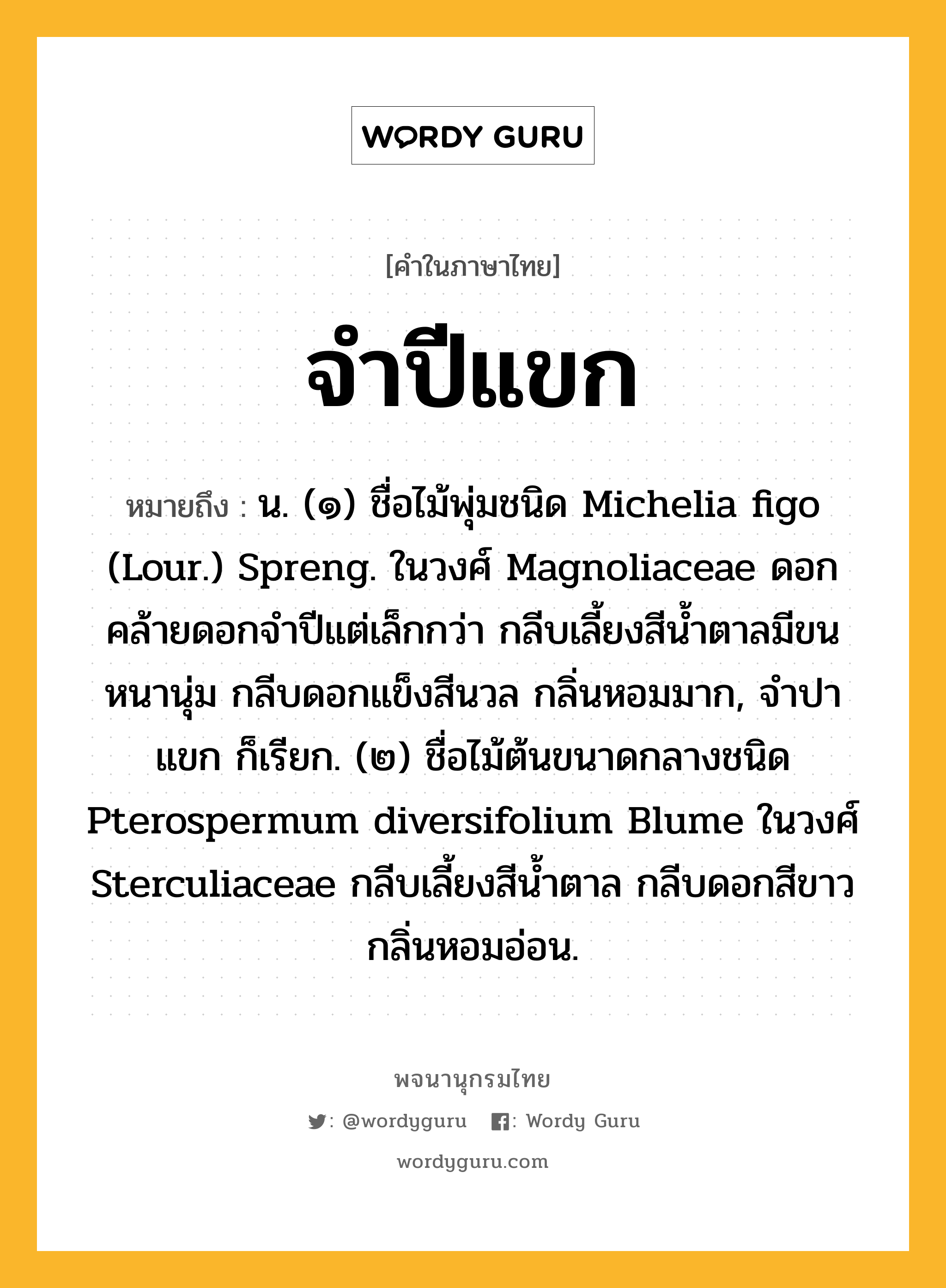 จำปีแขก หมายถึงอะไร?, คำในภาษาไทย จำปีแขก หมายถึง น. (๑) ชื่อไม้พุ่มชนิด Michelia figo (Lour.) Spreng. ในวงศ์ Magnoliaceae ดอกคล้ายดอกจําปีแต่เล็กกว่า กลีบเลี้ยงสีนํ้าตาลมีขนหนานุ่ม กลีบดอกแข็งสีนวล กลิ่นหอมมาก, จําปาแขก ก็เรียก. (๒) ชื่อไม้ต้นขนาดกลางชนิด Pterospermum diversifolium Blume ในวงศ์ Sterculiaceae กลีบเลี้ยงสีนํ้าตาล กลีบดอกสีขาว กลิ่นหอมอ่อน.