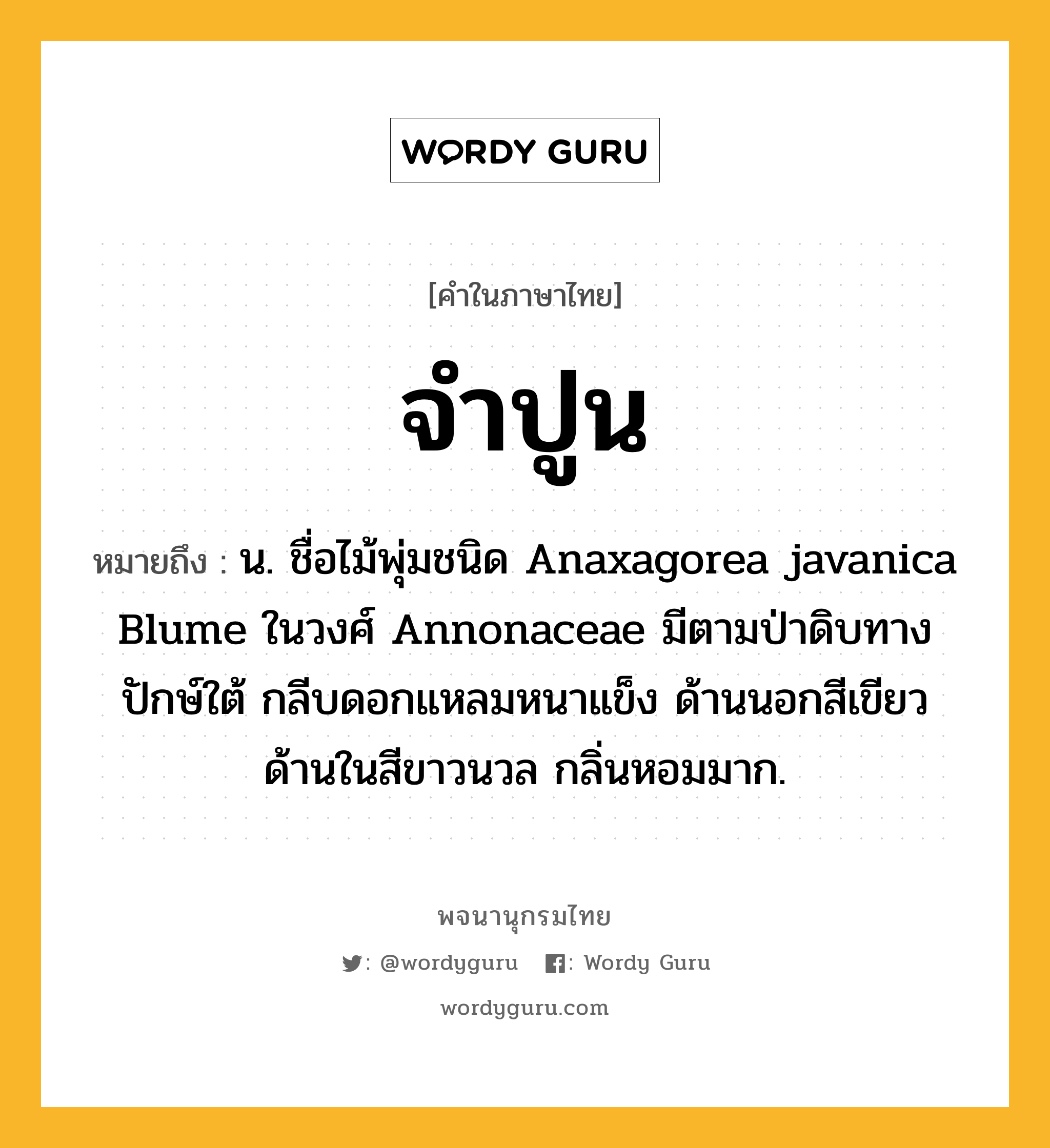 จำปูน หมายถึงอะไร?, คำในภาษาไทย จำปูน หมายถึง น. ชื่อไม้พุ่มชนิด Anaxagorea javanica Blume ในวงศ์ Annonaceae มีตามป่าดิบทางปักษ์ใต้ กลีบดอกแหลมหนาแข็ง ด้านนอกสีเขียว ด้านในสีขาวนวล กลิ่นหอมมาก.